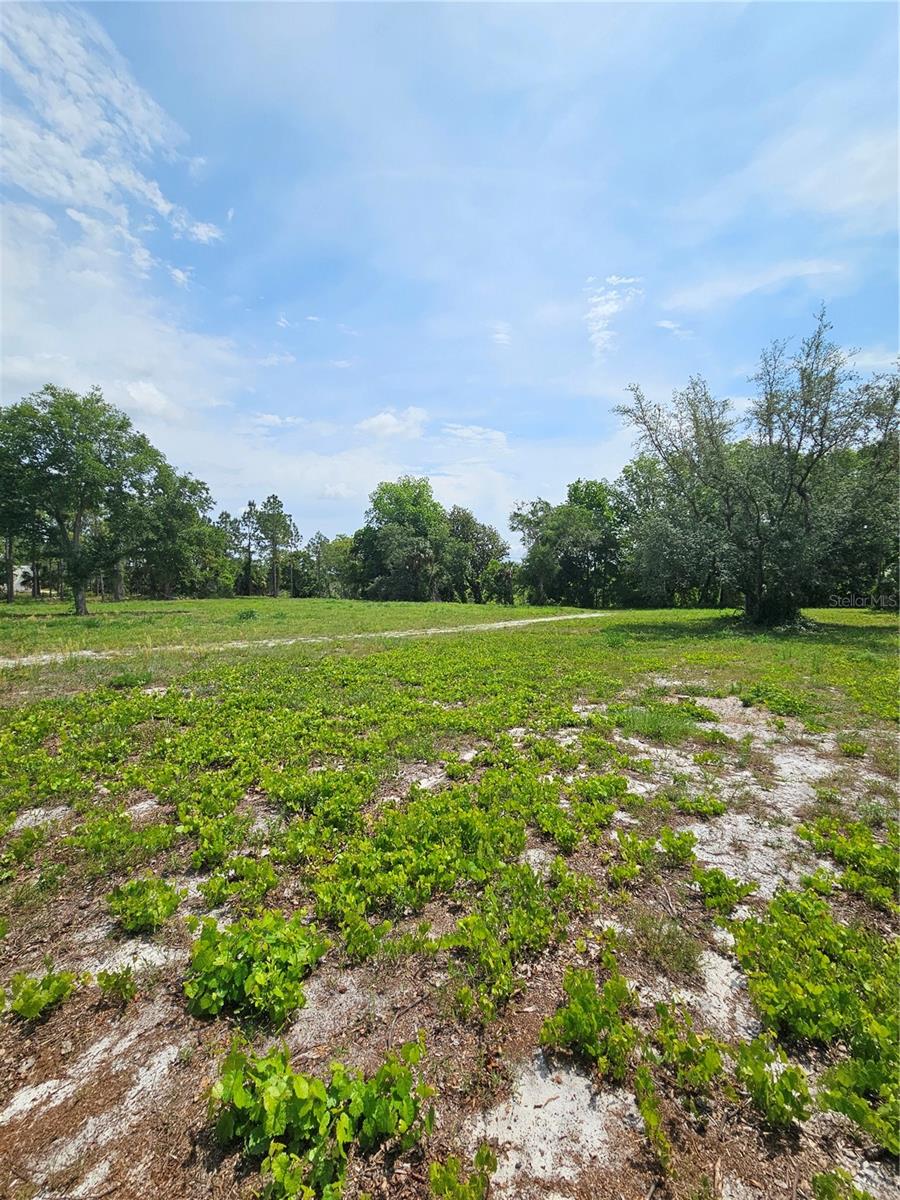 GENEVA WOODS CV, GENEVA, FL, 32732