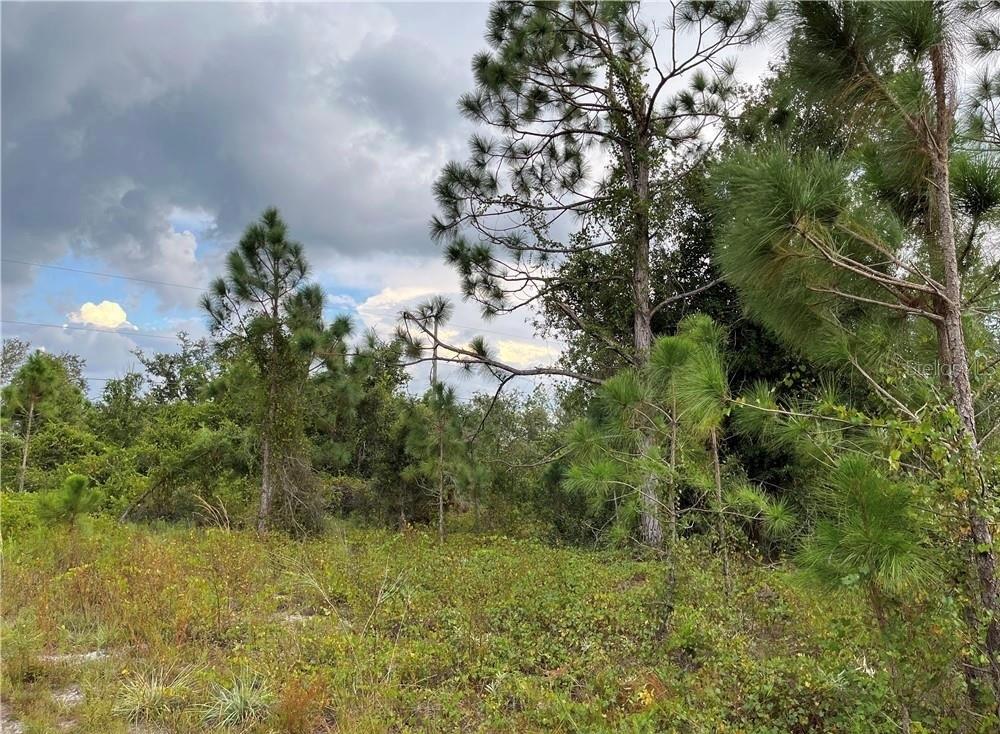 2250 SULSTONE DR, PUNTA GORDA, FL, 33983