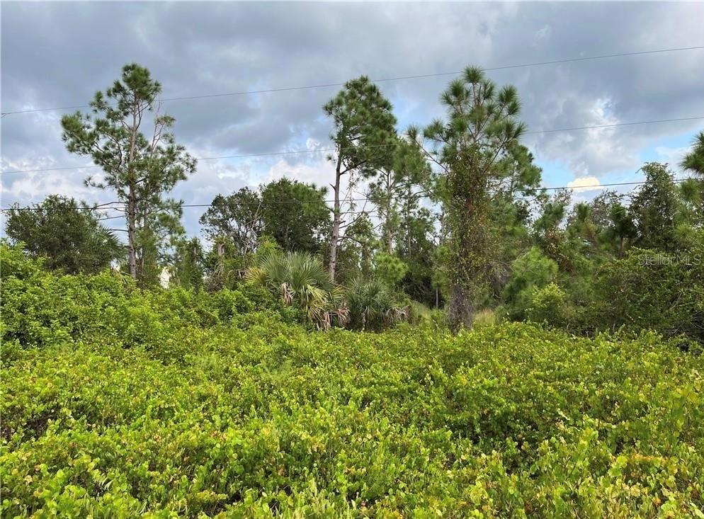 2250 SULSTONE DR, PUNTA GORDA, FL, 33983