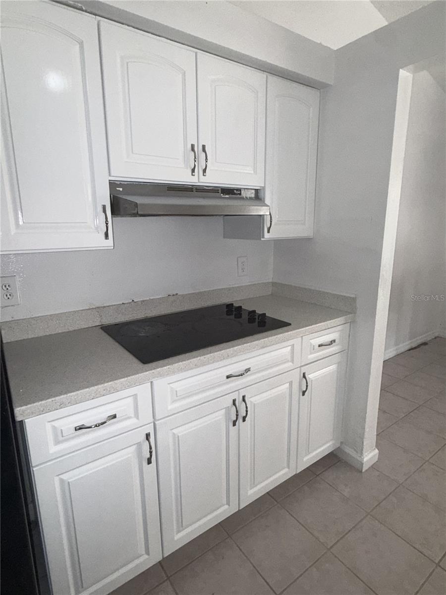 9213 CAMINO VILLA BLVD, TAMPA, FL, 33635