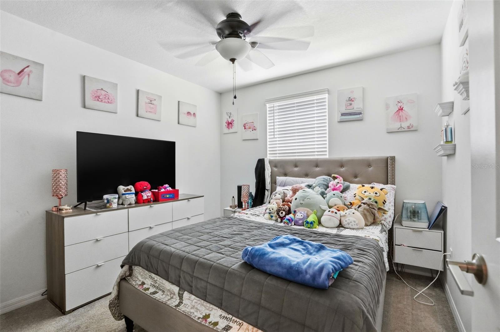 13712 NEWBRIDGE ST, SPRING HILL, FL, 34609