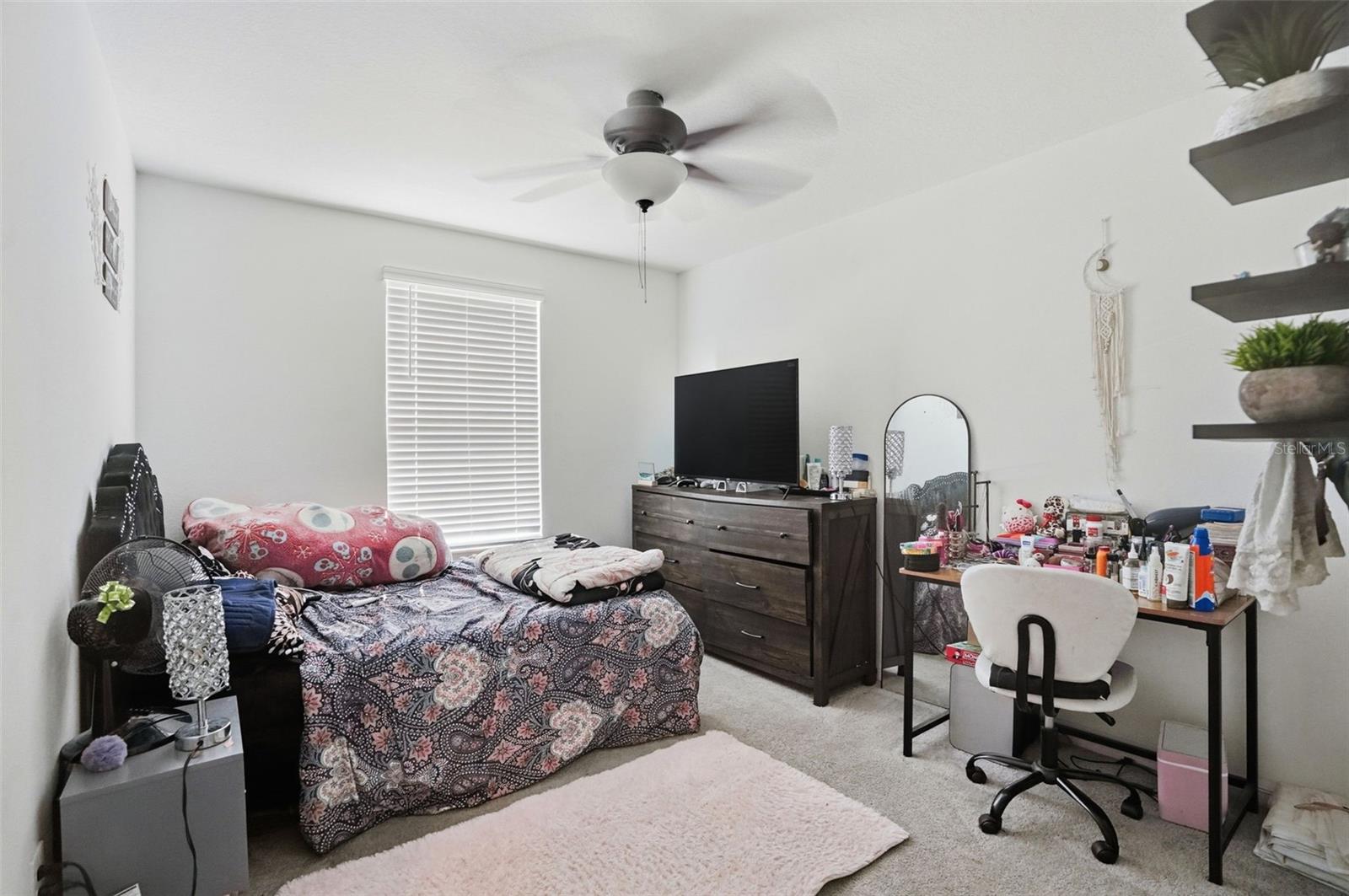 13712 NEWBRIDGE ST, SPRING HILL, FL, 34609