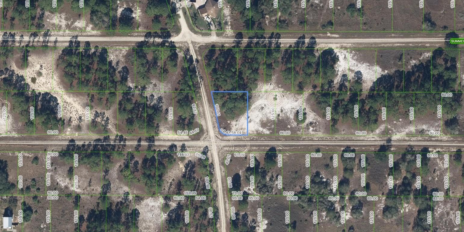 300 MOON RIVER AVE, LAKE PLACID, FL, 33852