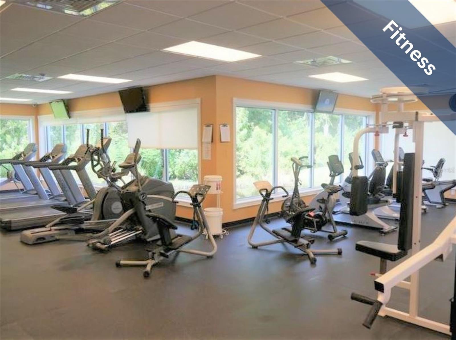1624 LAKESTONE DR, TRINITY, FL, 34655