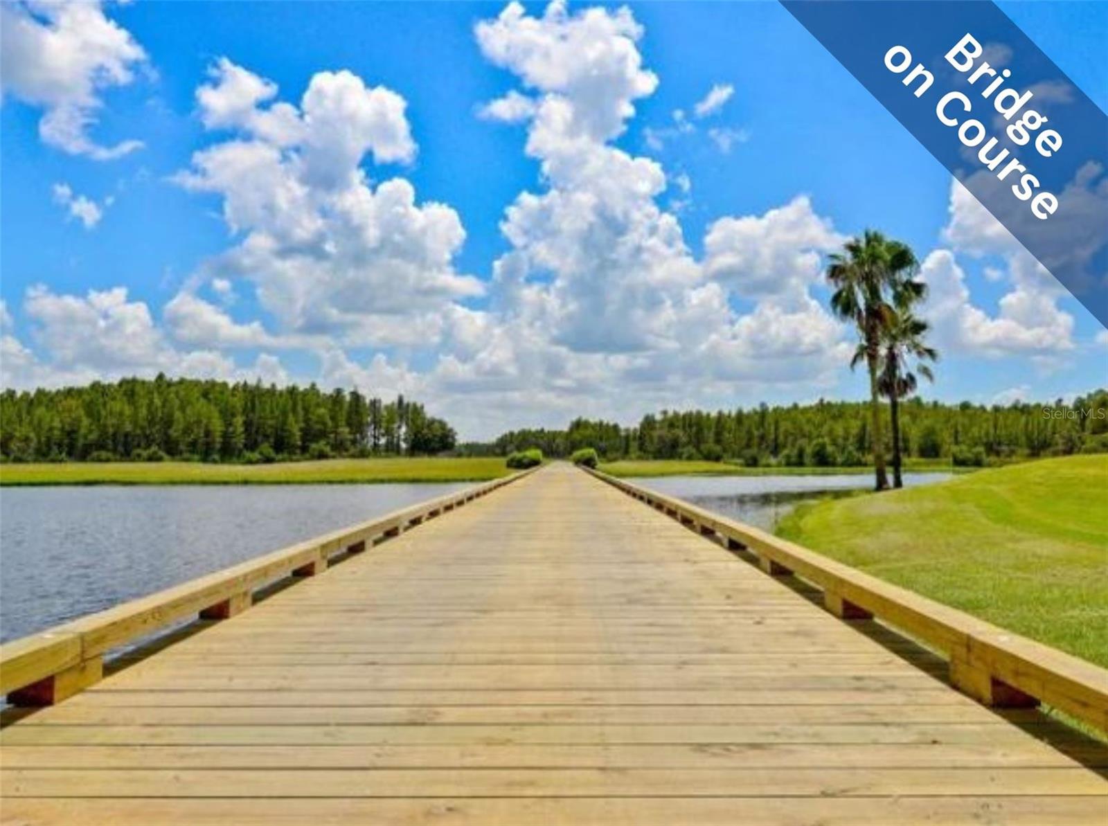 1624 LAKESTONE DR, TRINITY, FL, 34655