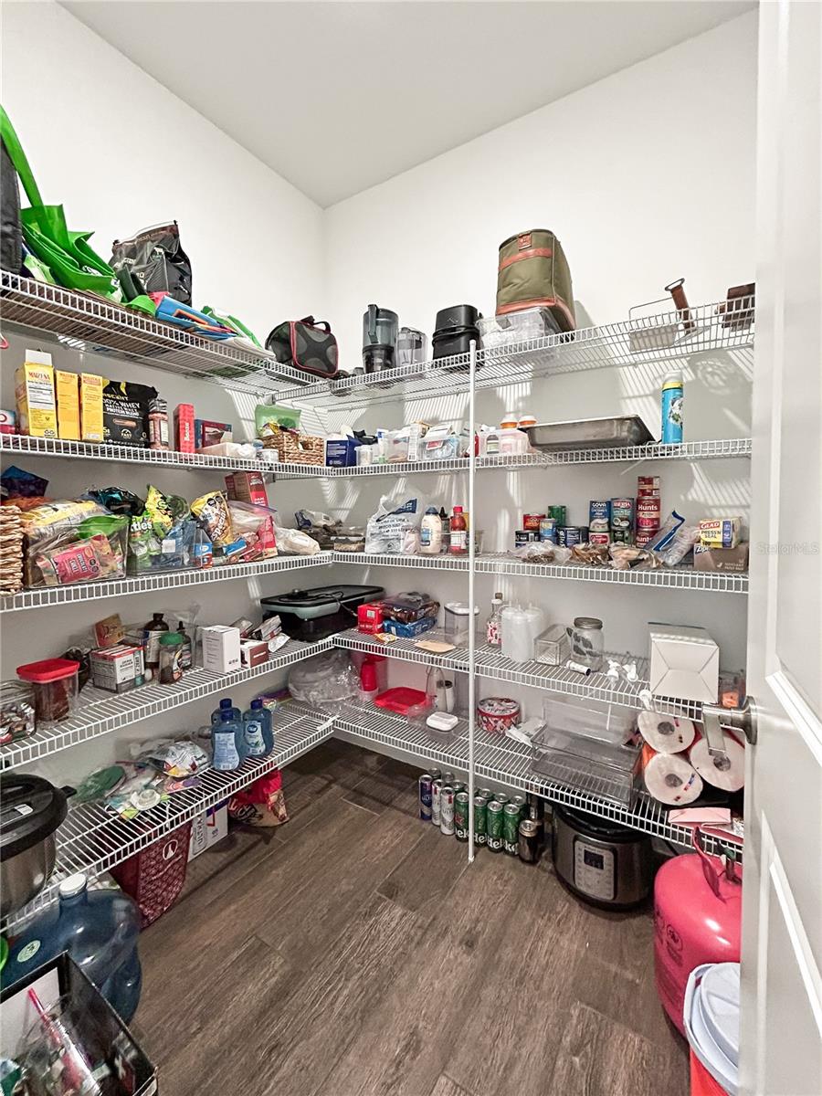 18334 SERENE LAKE LOOP, LUTZ, FL, 33548