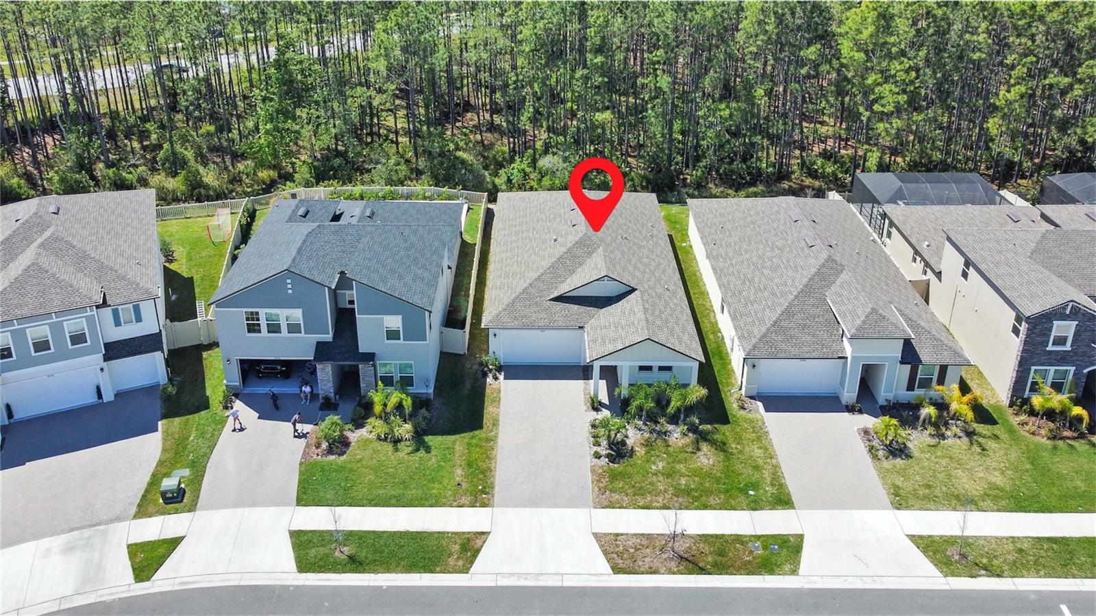18334 SERENE LAKE LOOP, LUTZ, FL, 33548