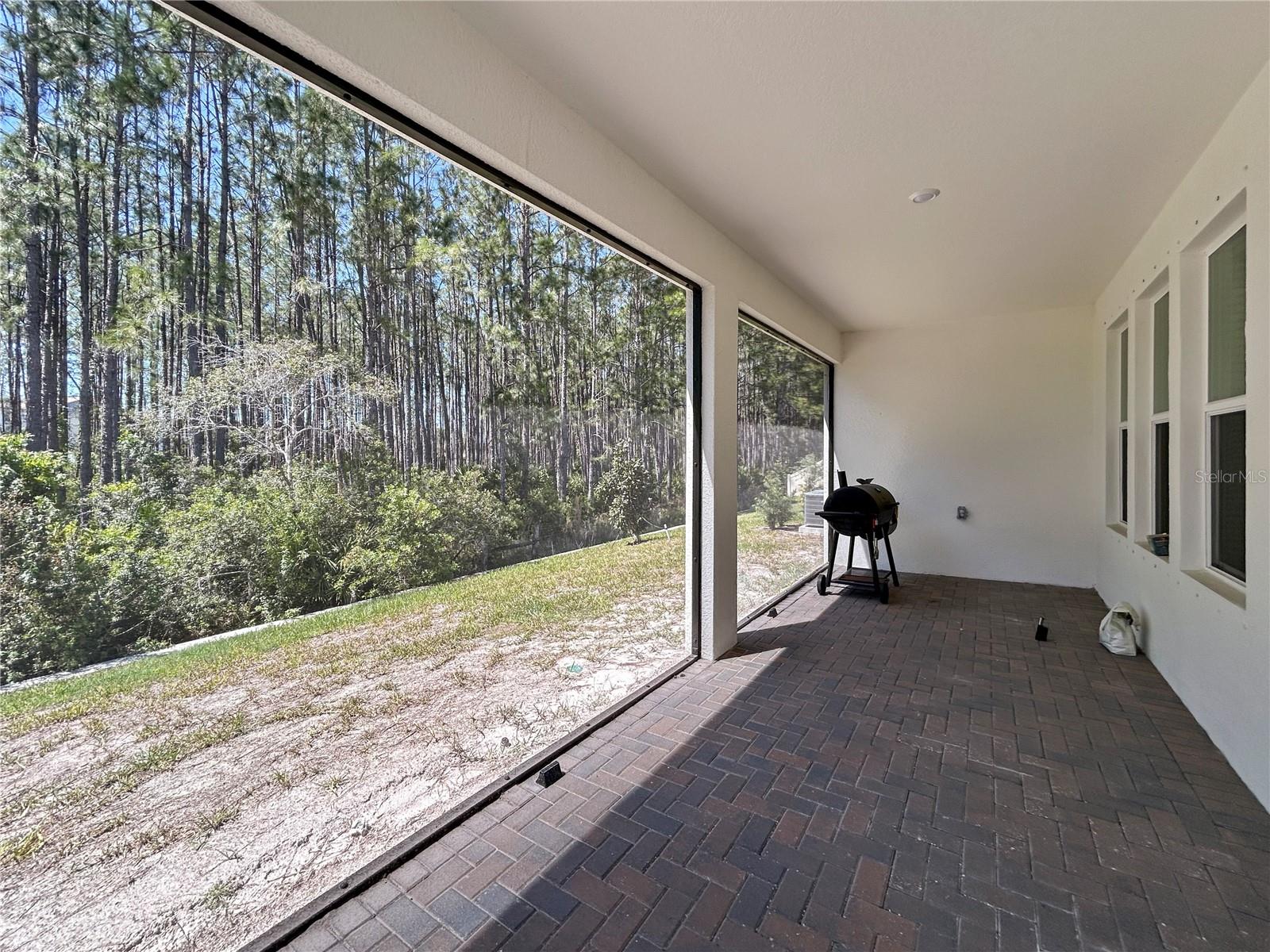 18334 SERENE LAKE LOOP, LUTZ, FL, 33548