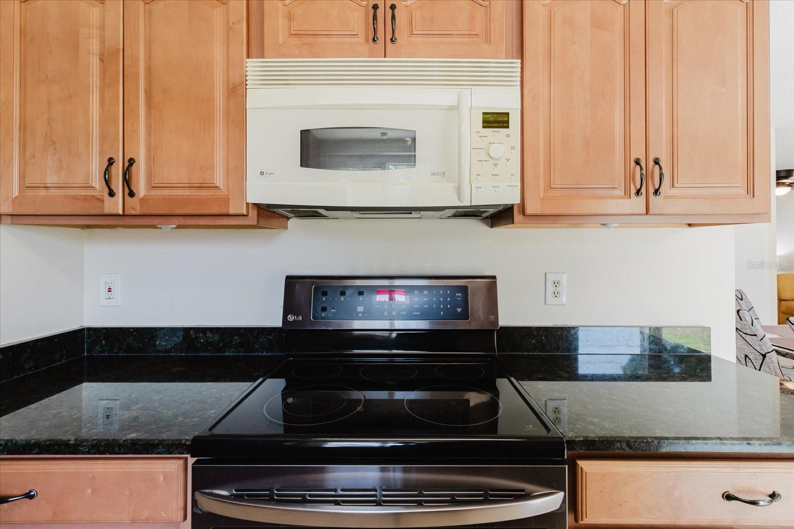 2207 SELKIRK ST, VALRICO, FL, 33594