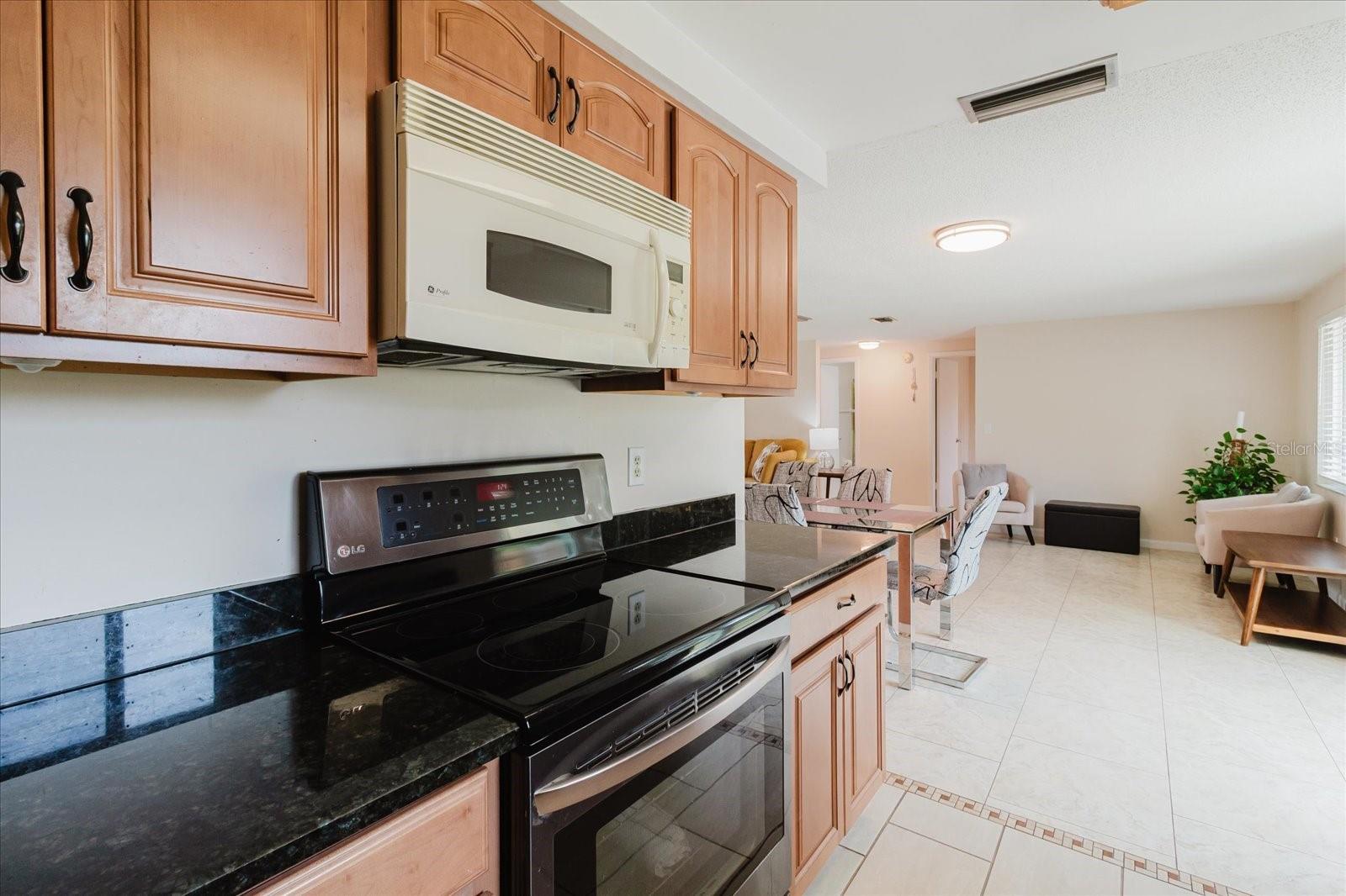 2207 SELKIRK ST, VALRICO, FL, 33594
