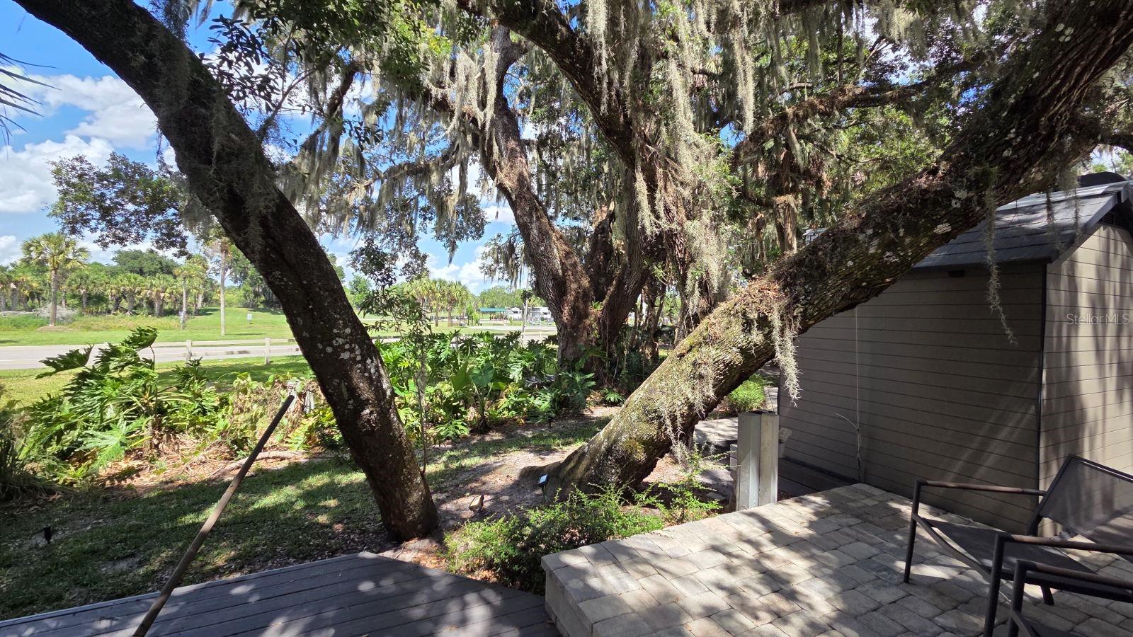 291 BEAR TRL, RIVER RANCH, FL, 33867