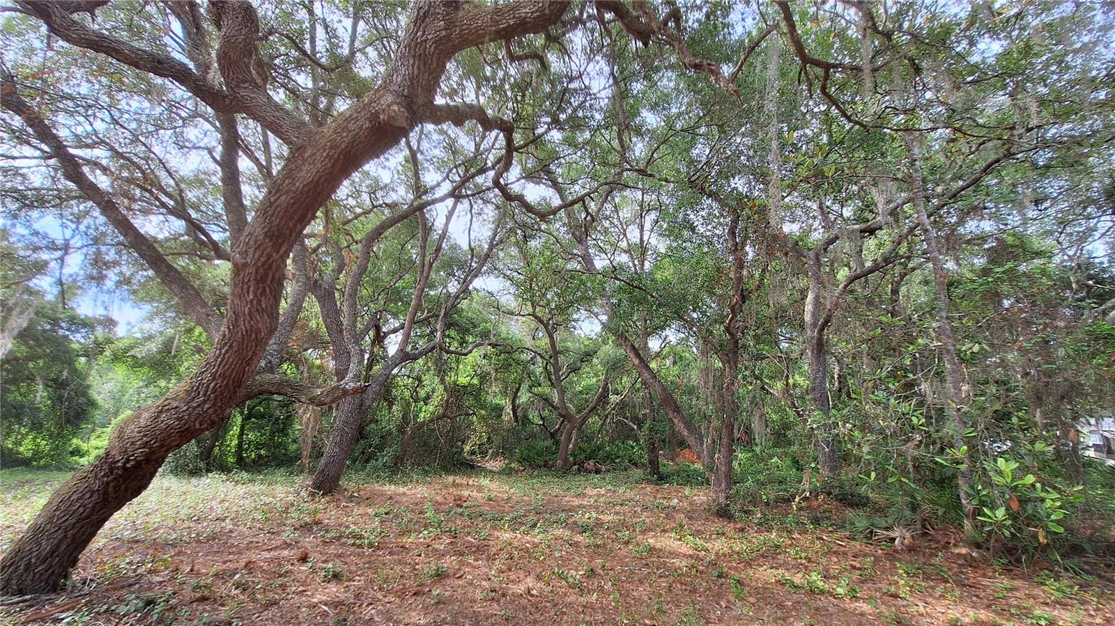 2502 SE 179TH AVE, SILVER SPRINGS, FL, 34488