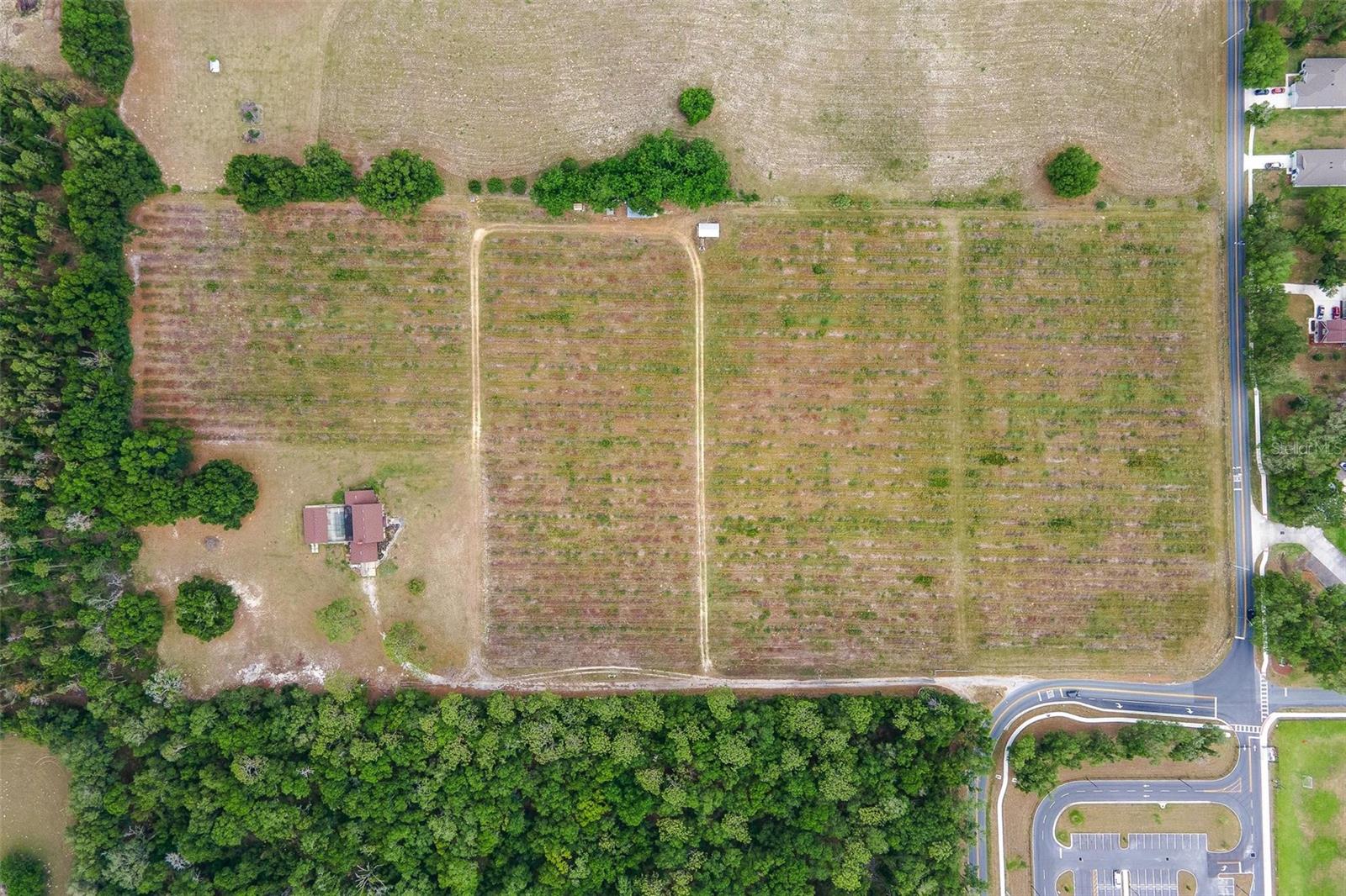 2500 URICK ST, FRUITLAND PARK, FL, 34731