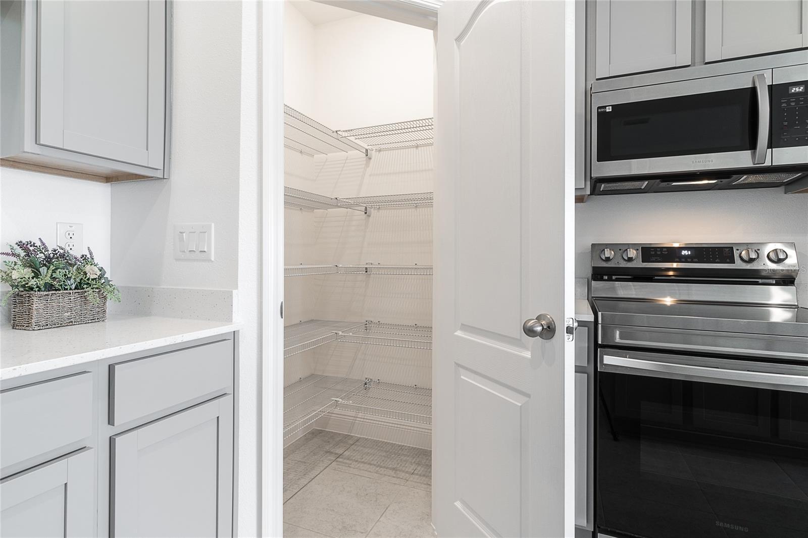 32129 POND APPLE BND, SAN ANTONIO, FL, 33576
