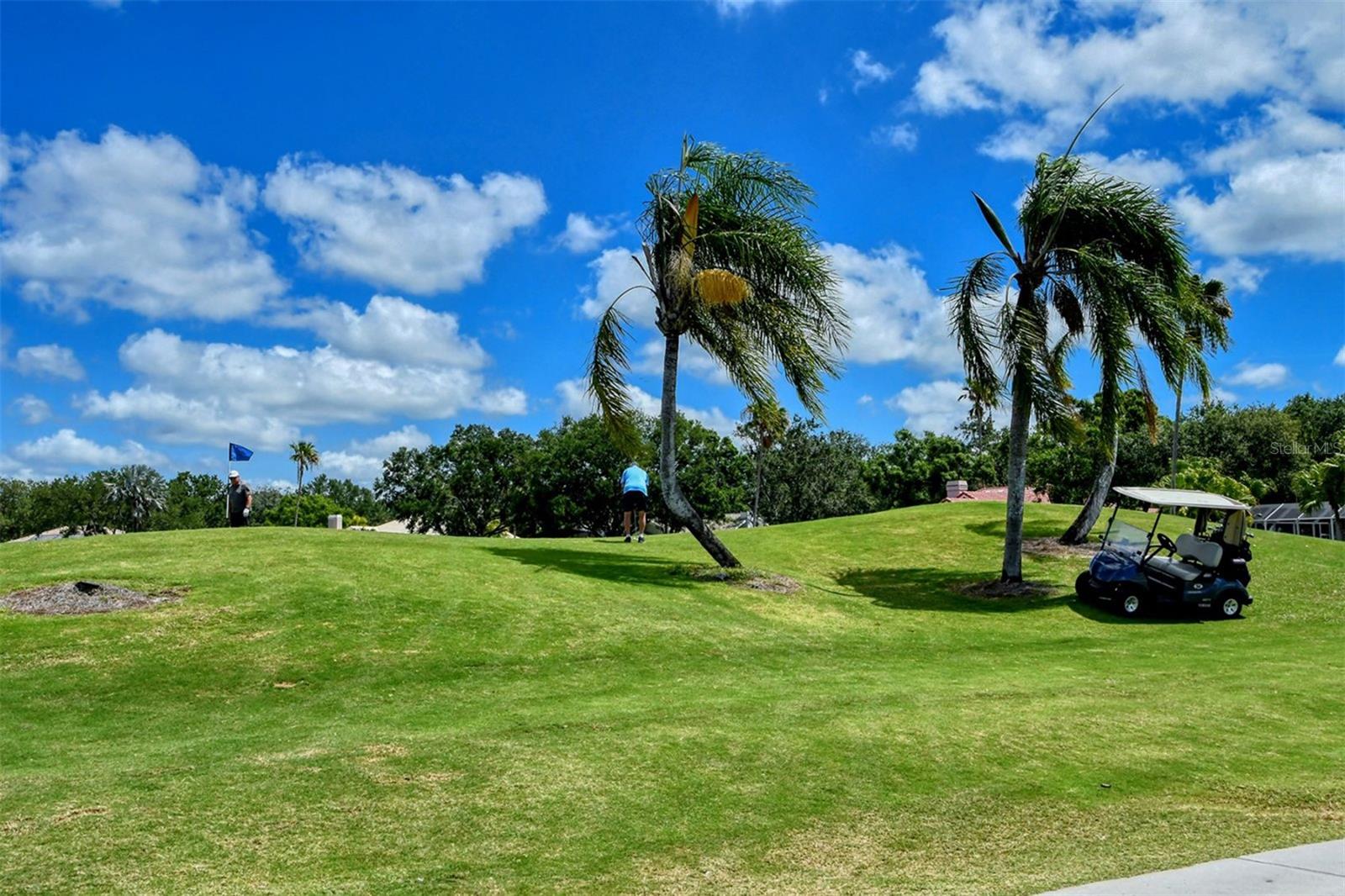 7025 N SERENOA DR, SARASOTA, FL, 34241
