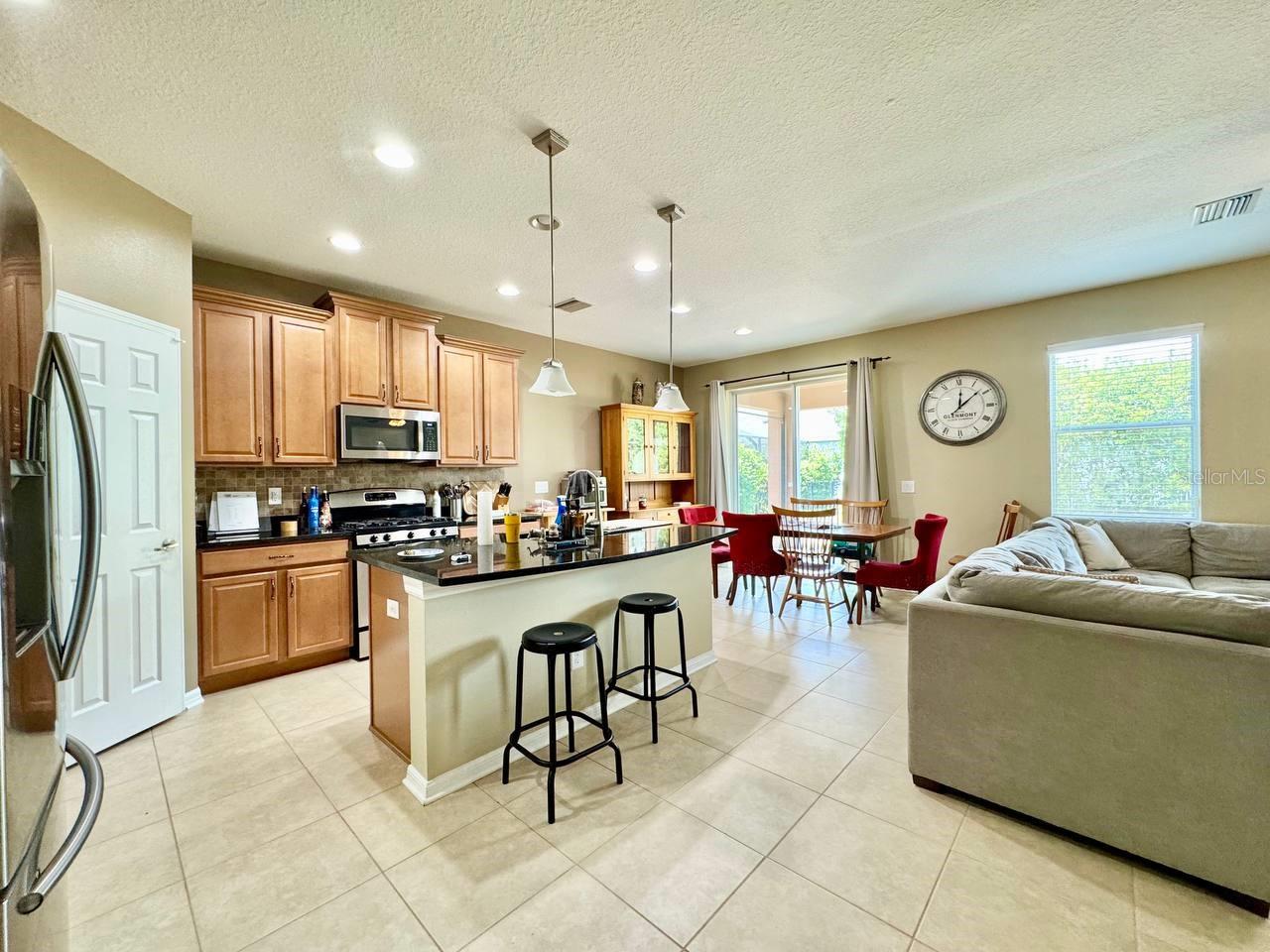 5105 OAKLINE VIEW DR, LITHIA, FL, 33547