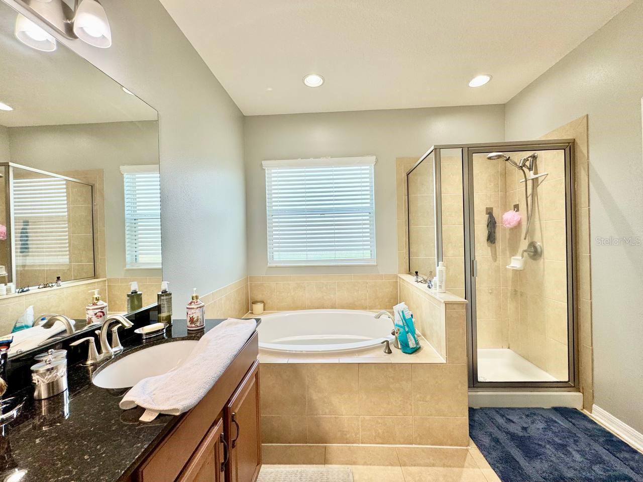 5105 OAKLINE VIEW DR, LITHIA, FL, 33547