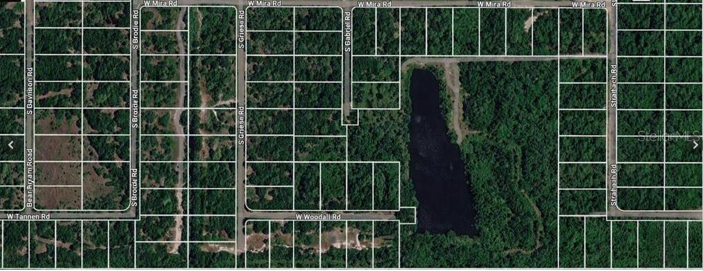 3000 W WOODALL RD, AVON PARK, FL, 33825