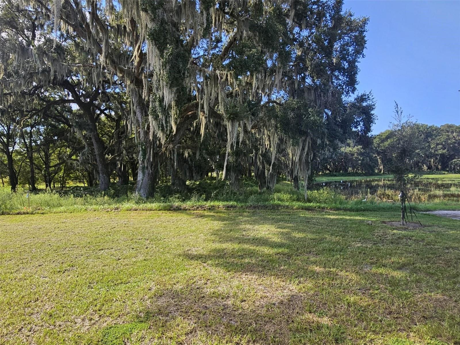 8713 BARRAGAN DR, WILDWOOD, FL, 34785