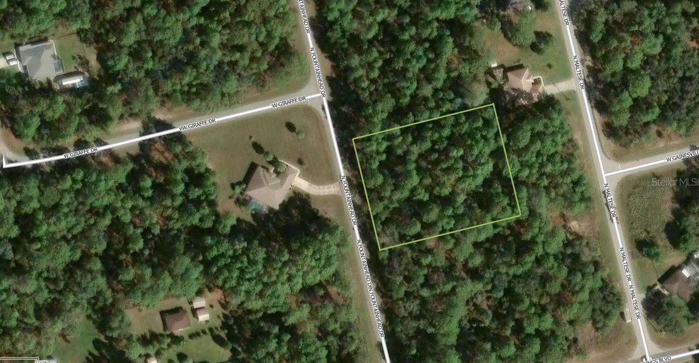 7381 N FOUNTAINHEAD DR, CITRUS SPRINGS, FL, 34433