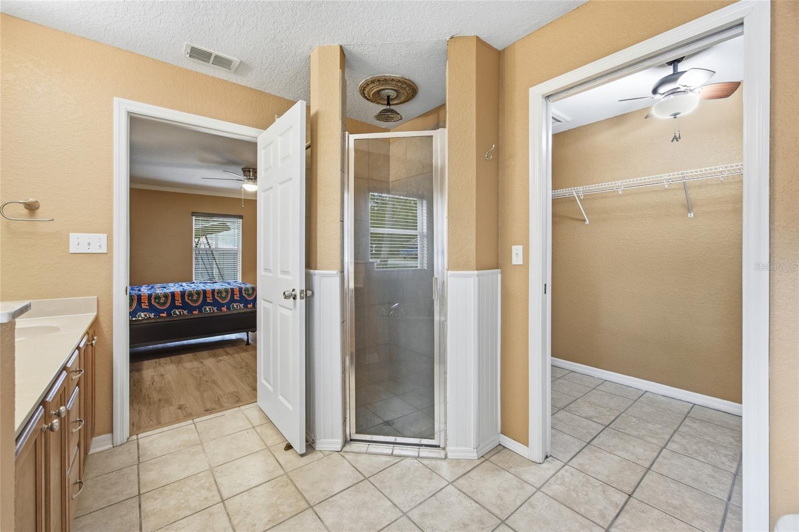 3539 SE 136TH PL, SUMMERFIELD, FL, 34491