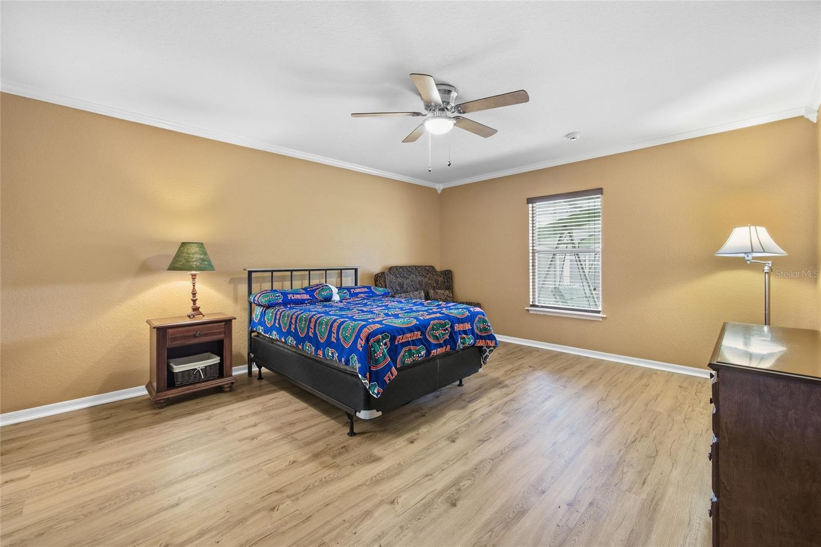3539 SE 136TH PL, SUMMERFIELD, FL, 34491