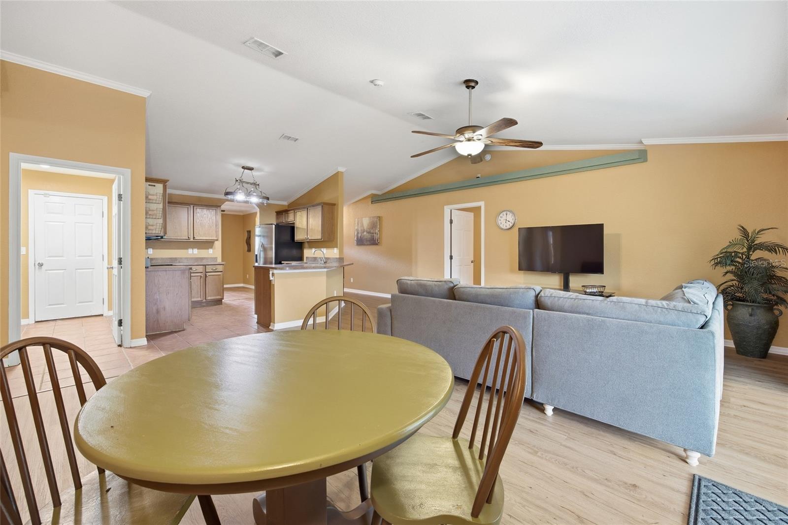 3539 SE 136TH PL, SUMMERFIELD, FL, 34491