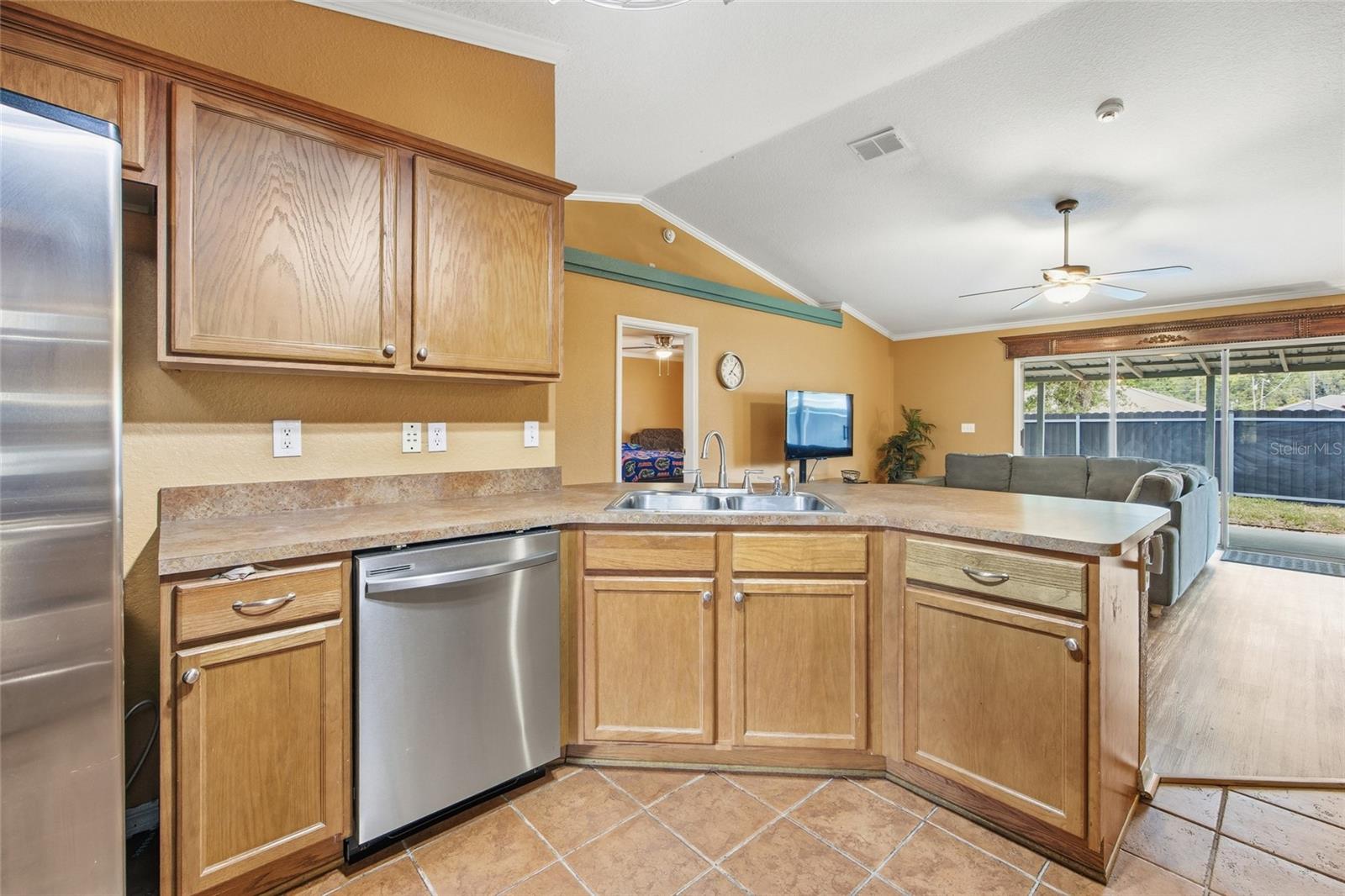 3539 SE 136TH PL, SUMMERFIELD, FL, 34491
