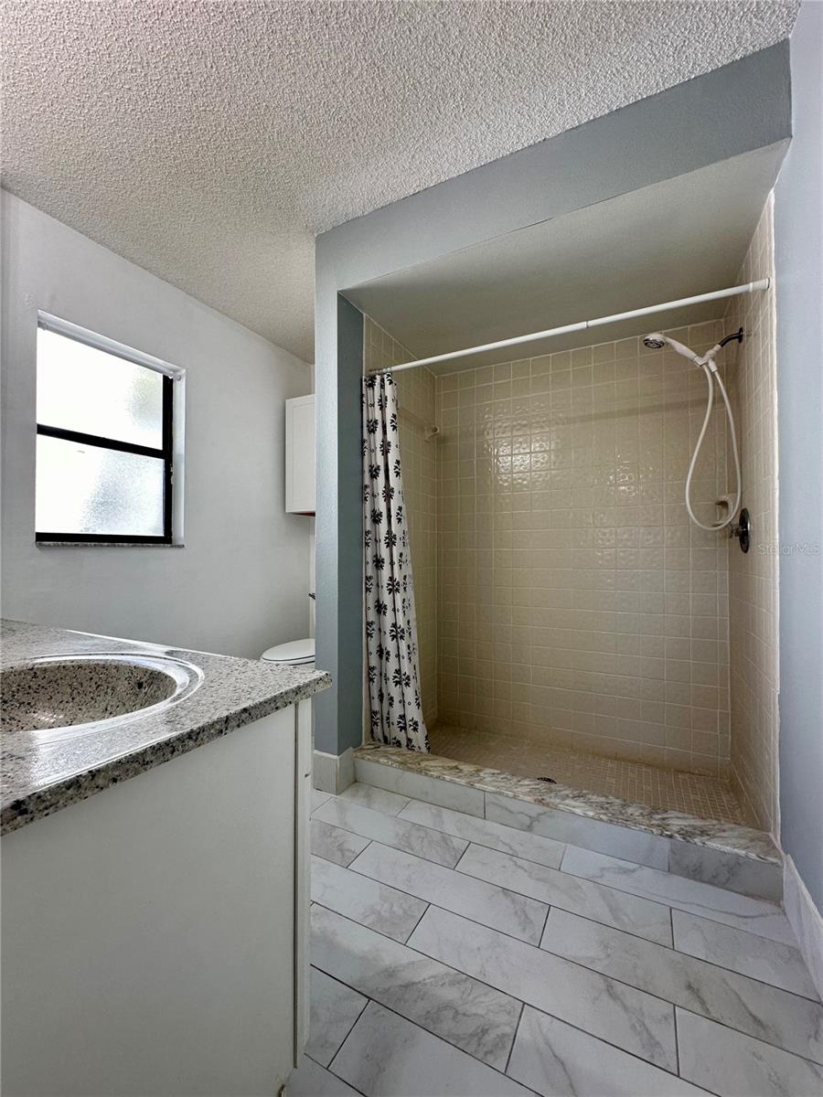 1831 TWISTING LN, WESLEY CHAPEL, FL, 33543
