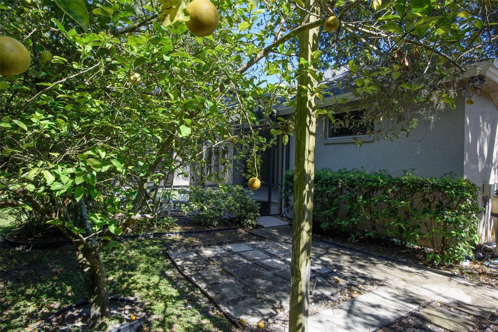 4094 CARDINAL GLEN PL, OVIEDO, FL, 32765