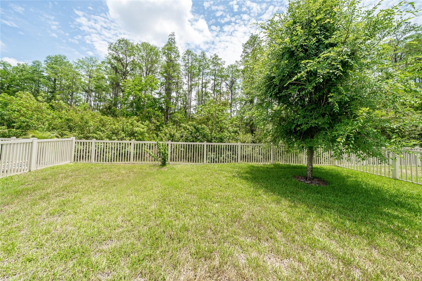 19312 ROSEATE DR, LUTZ, FL, 33558