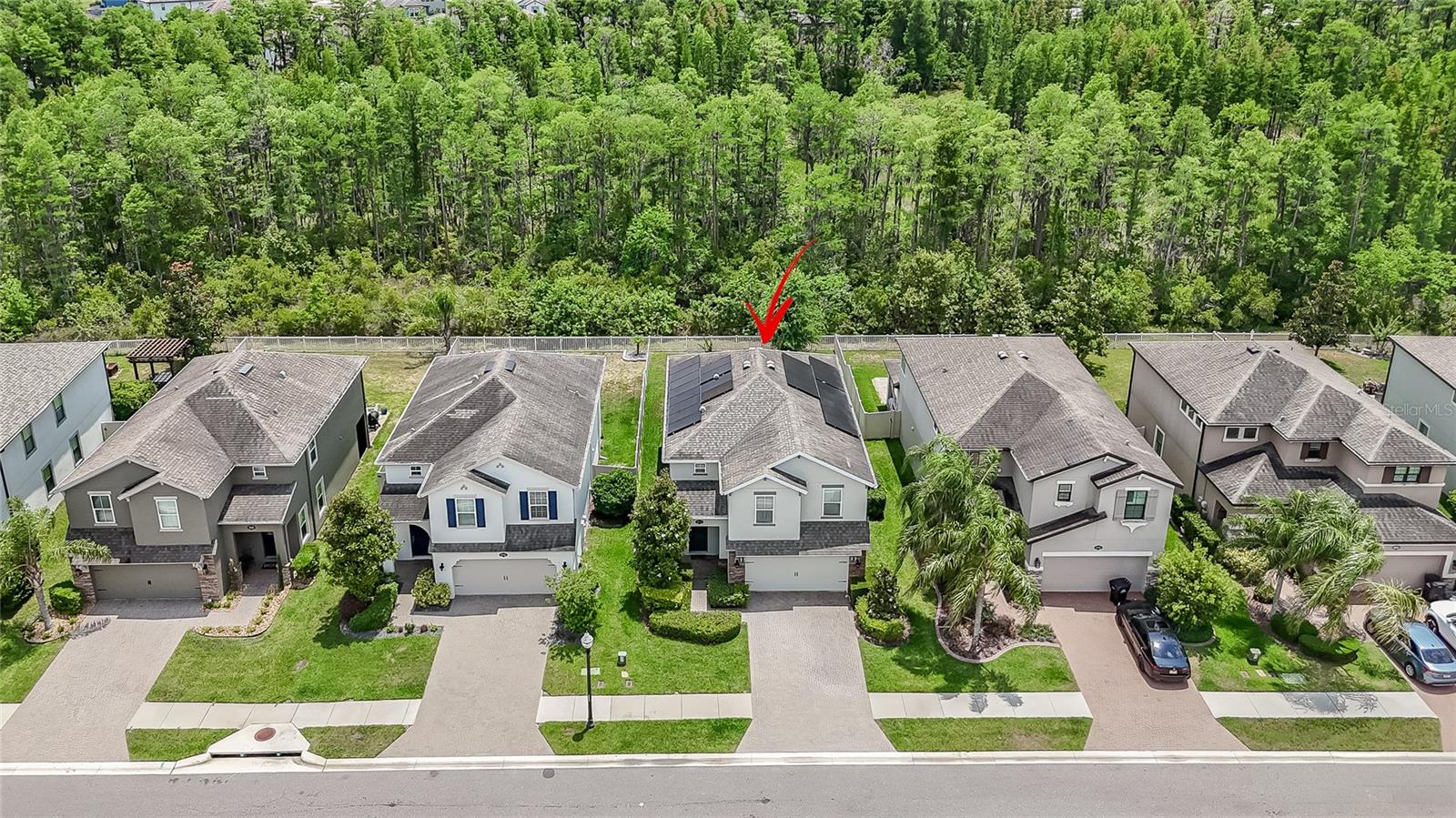 19312 ROSEATE DR, LUTZ, FL, 33558
