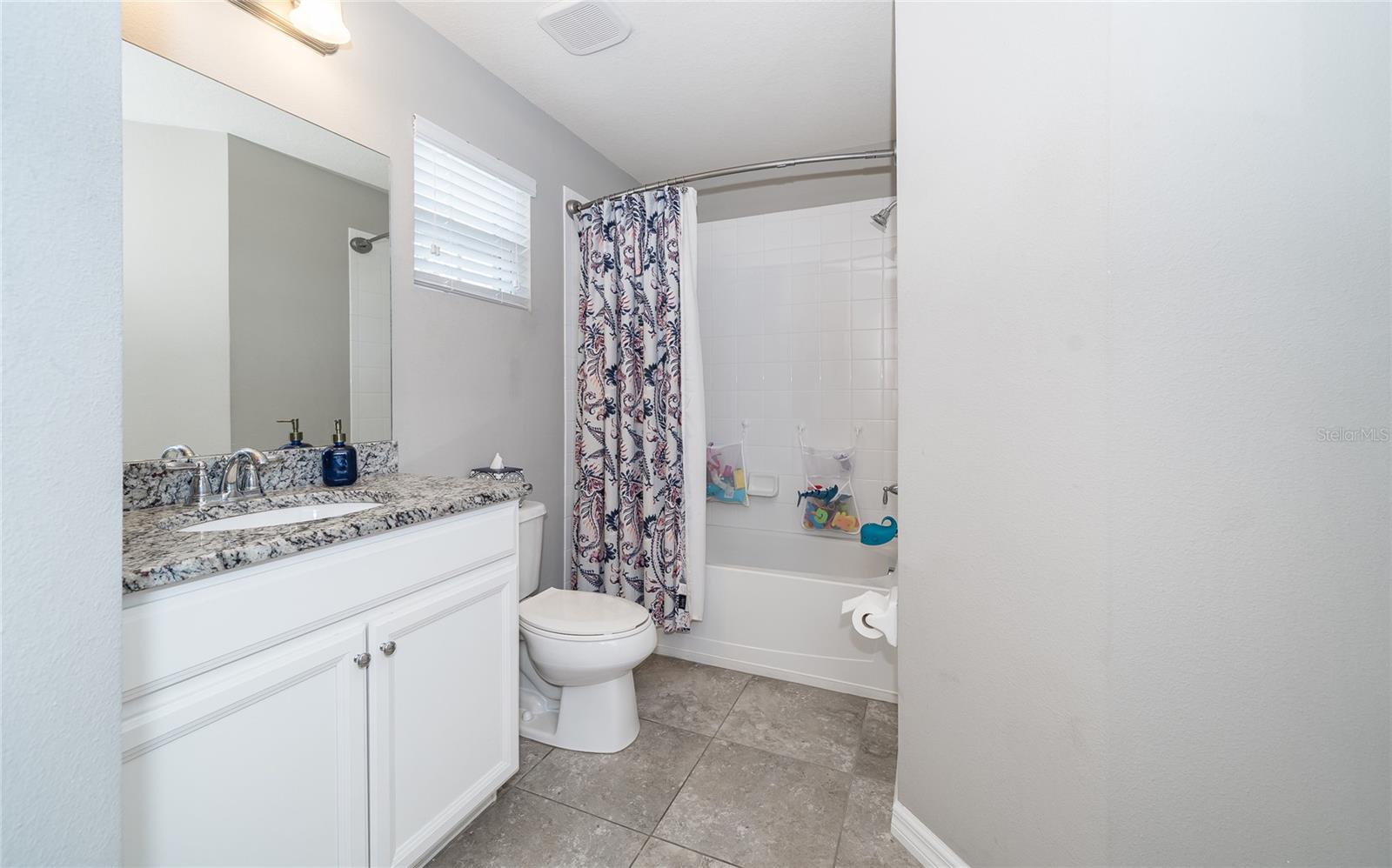 19312 ROSEATE DR, LUTZ, FL, 33558