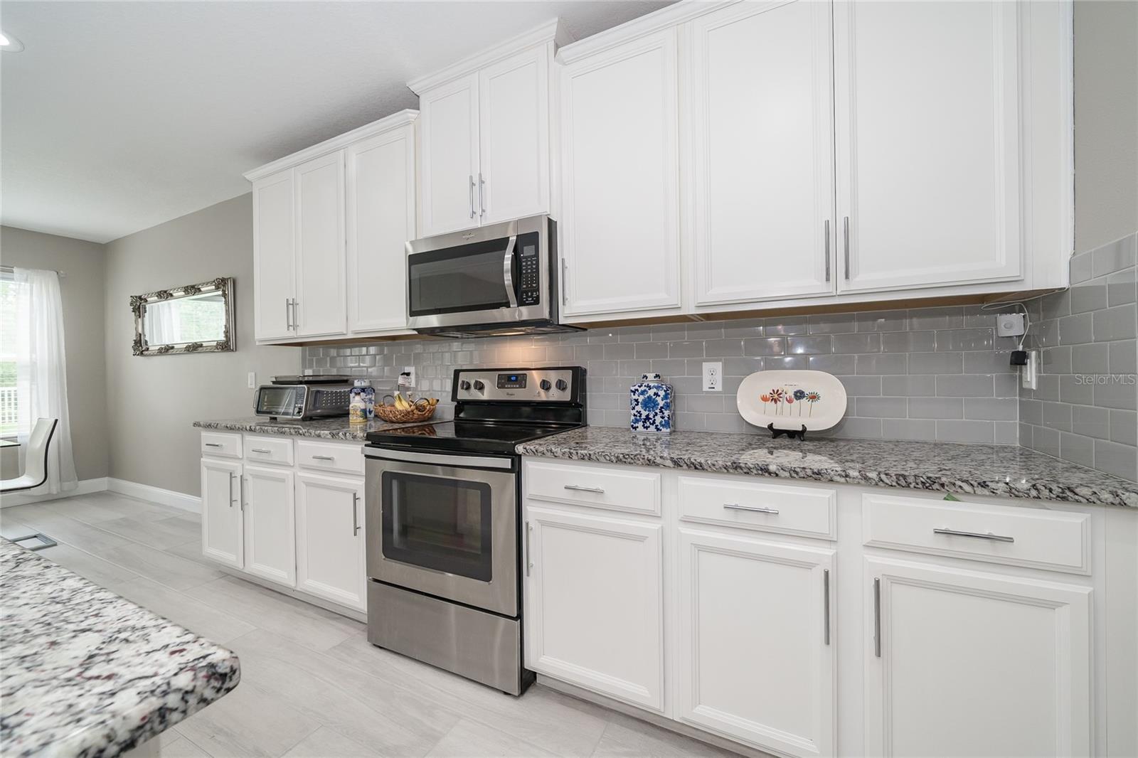 19312 ROSEATE DR, LUTZ, FL, 33558