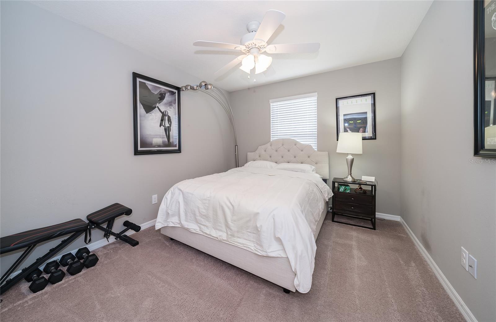 19312 ROSEATE DR, LUTZ, FL, 33558