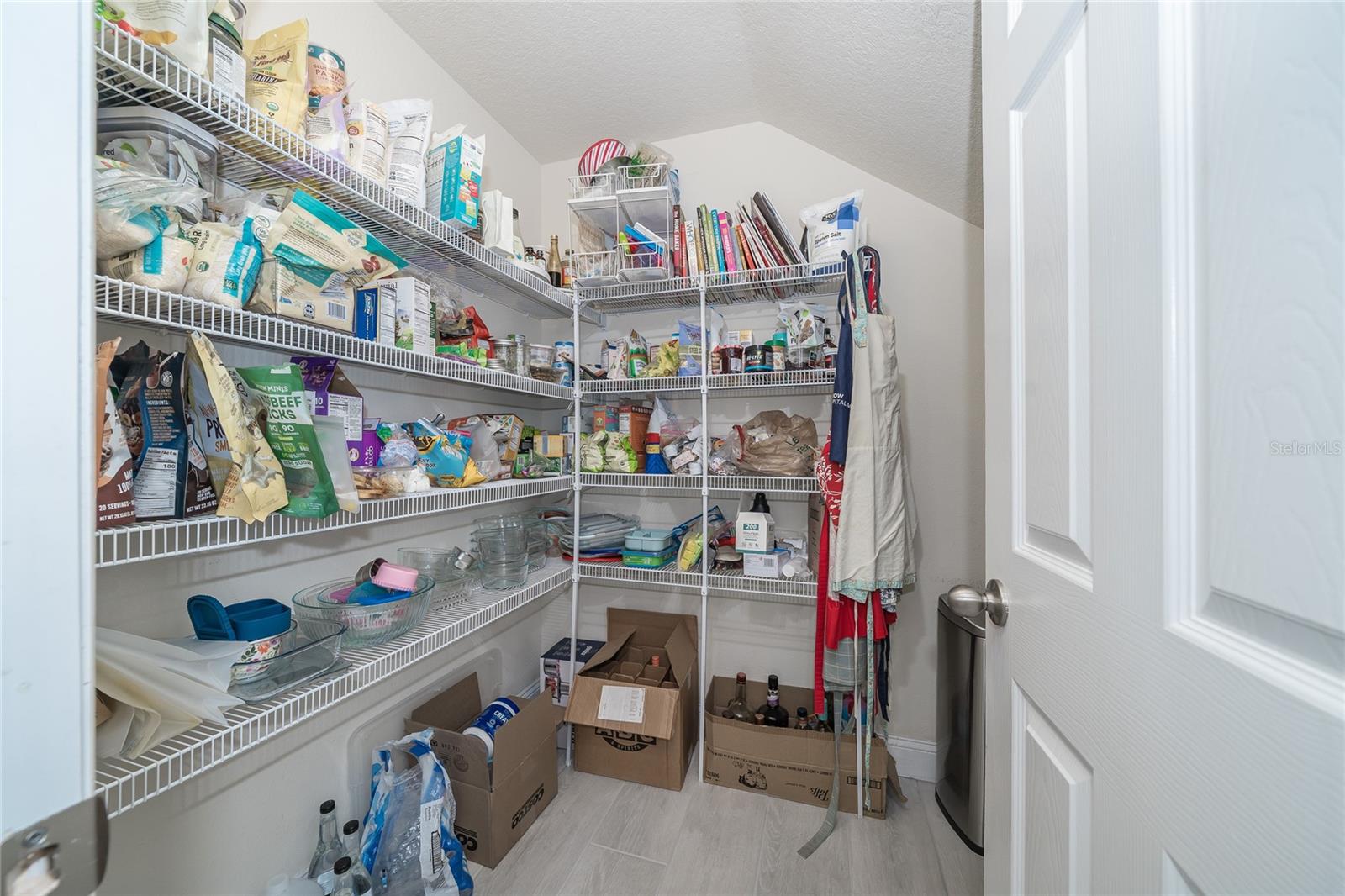 19312 ROSEATE DR, LUTZ, FL, 33558