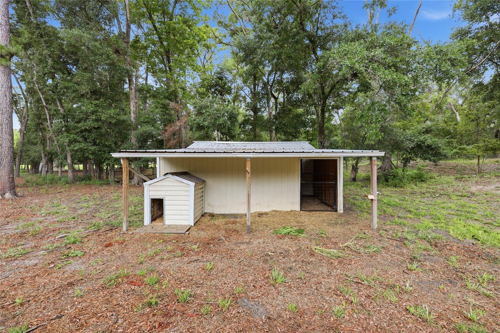 2504 SW 170TH ST, NEWBERRY, FL, 32669