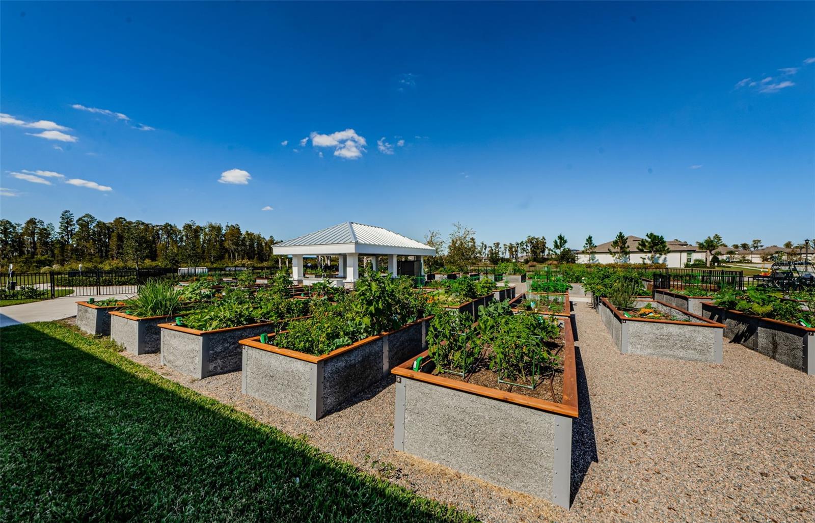 19865 SEA GLASS CIR, LAND O LAKES, FL, 34638