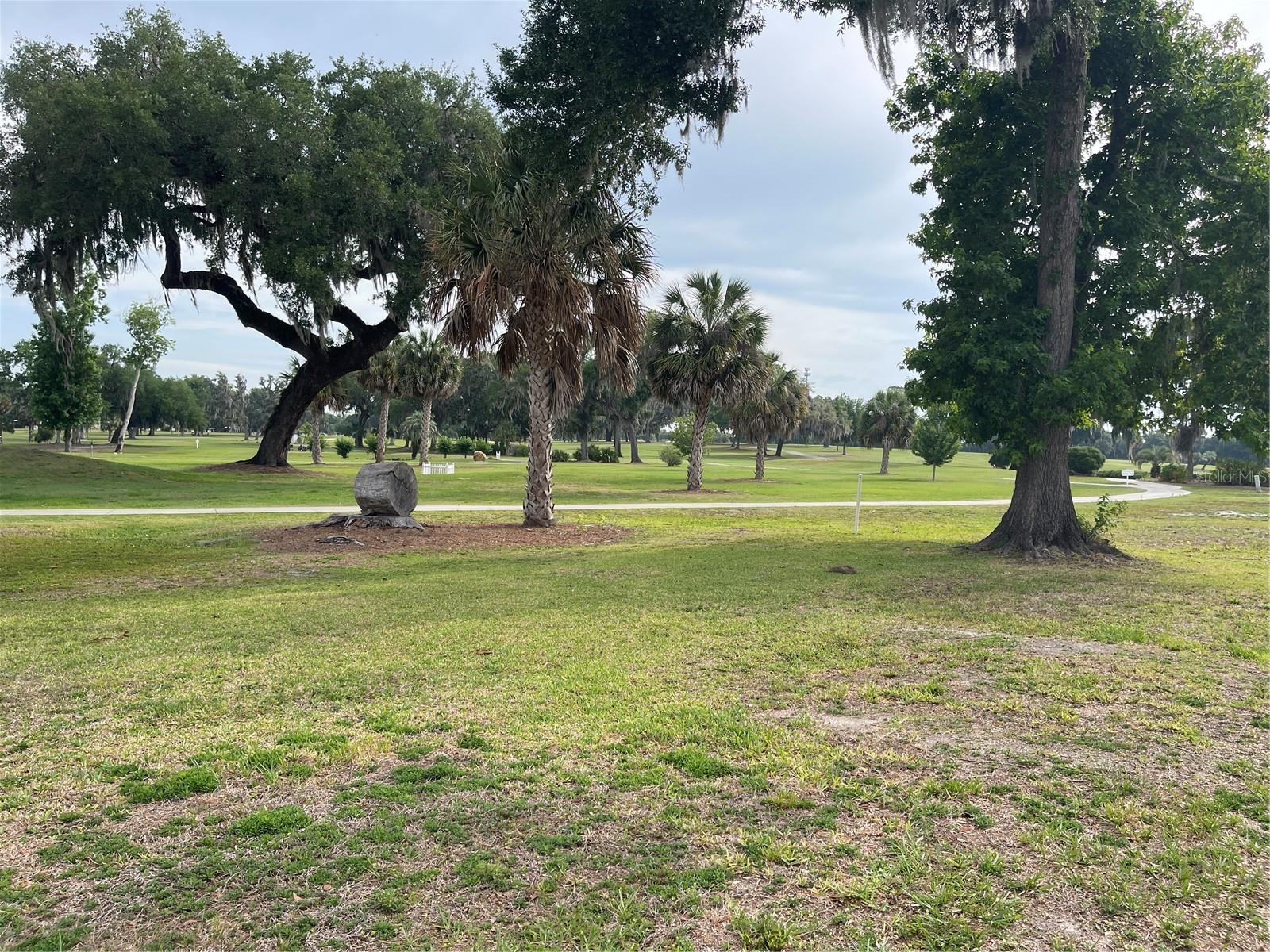 87 N BOBWHITE ROAD, WILDWOOD, FL, 34785