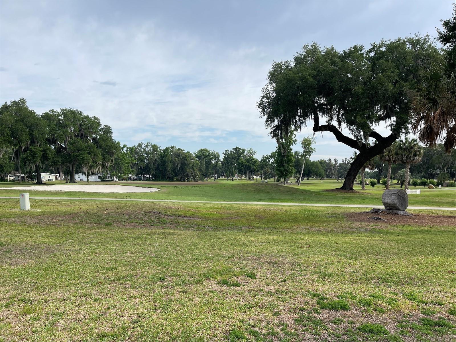 87 N BOBWHITE ROAD, WILDWOOD, FL, 34785