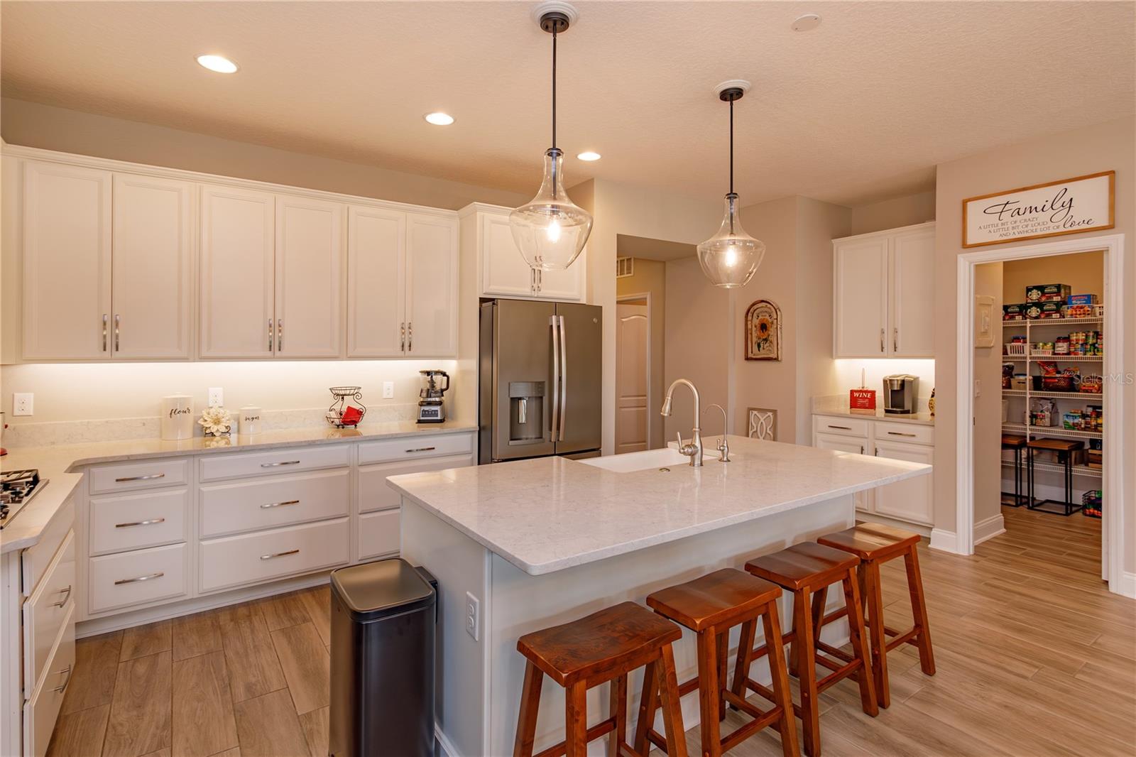 708 ORANGE BELT LOOP, WINTER GARDEN, FL, 34787