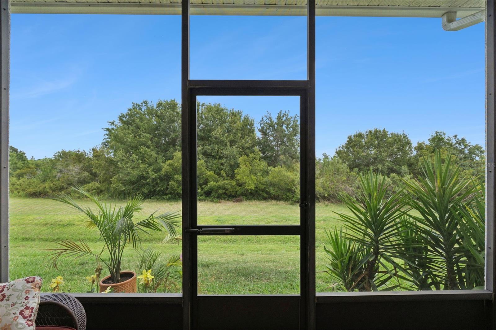 1005 GREEN GATE BLVD, GROVELAND, FL, 34736