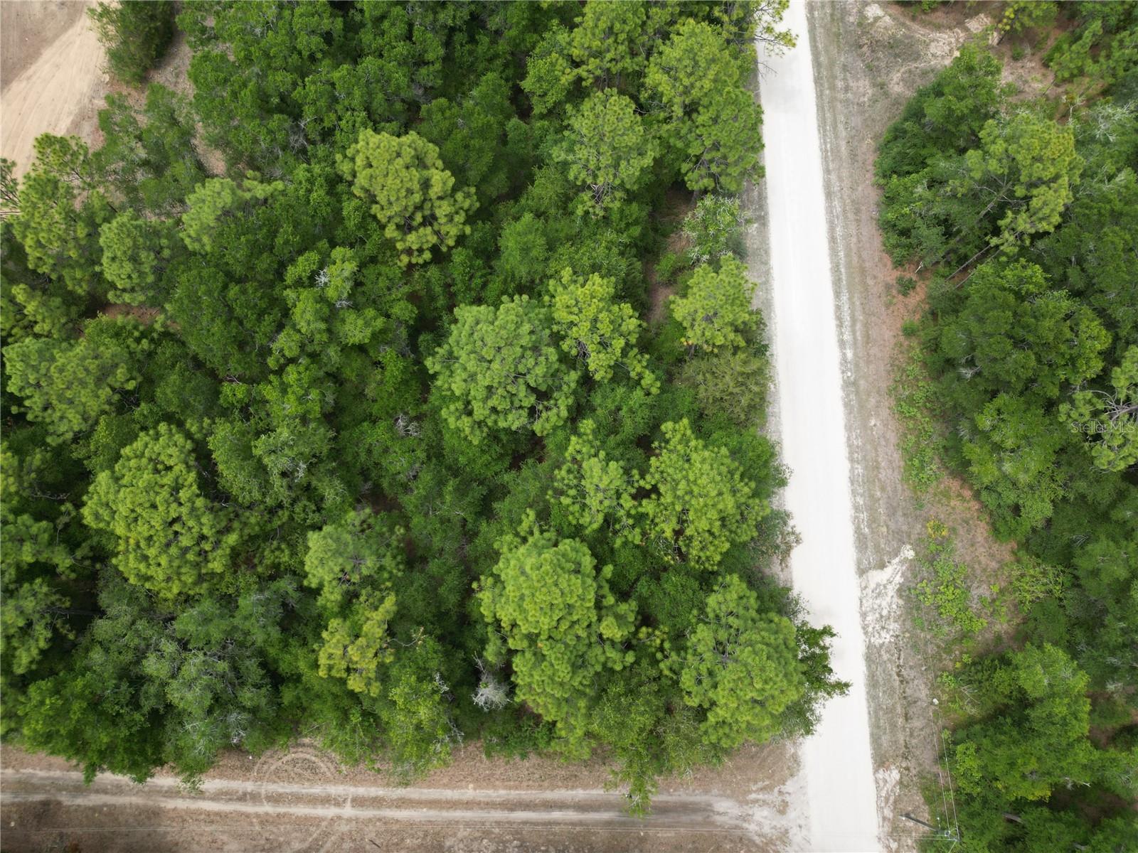 TBD SW 31ST PL, OCALA, FL, 34481