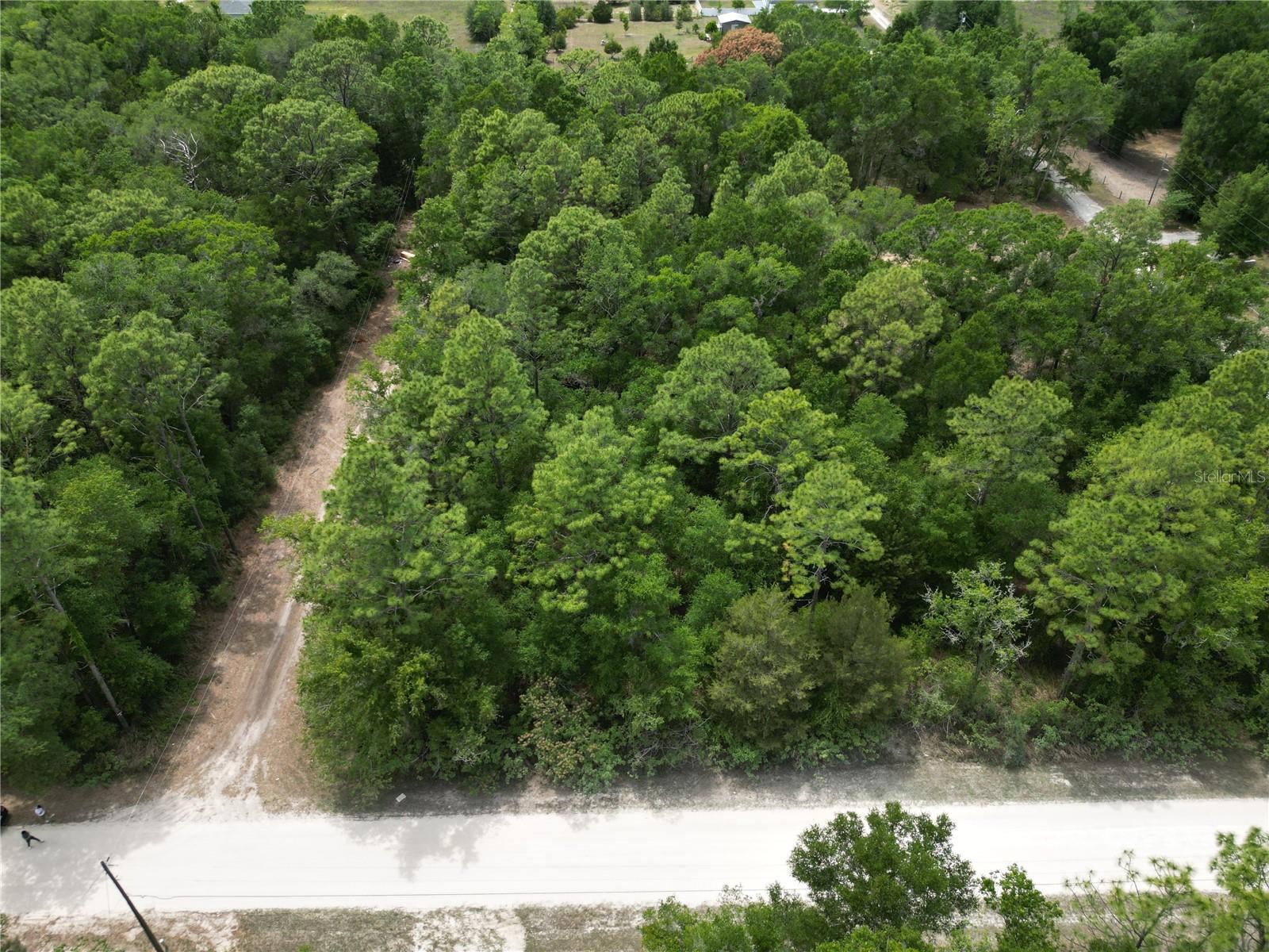 TBD SW 31ST PL, OCALA, FL, 34481