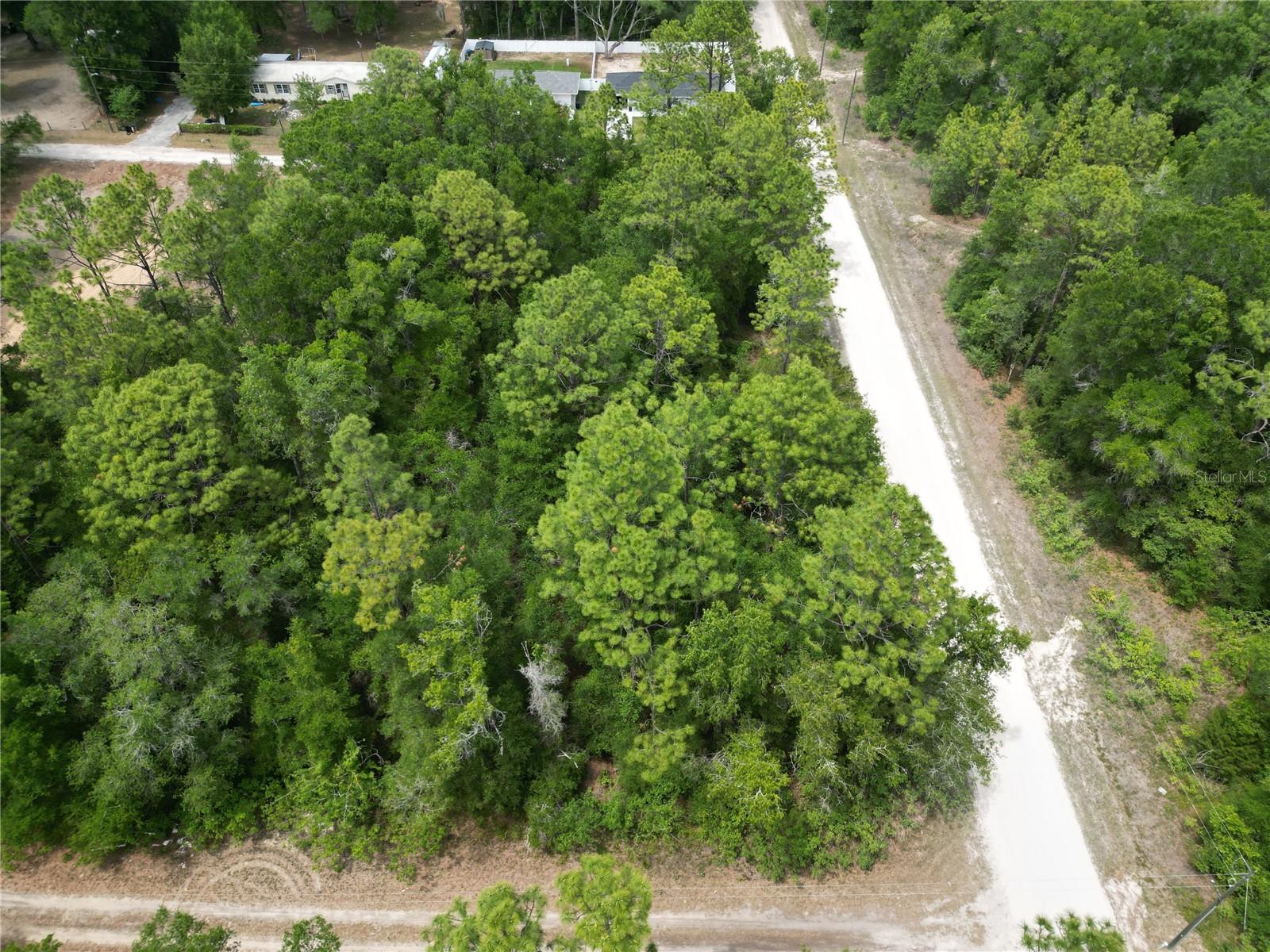 TBD SW 31ST PL, OCALA, FL, 34481