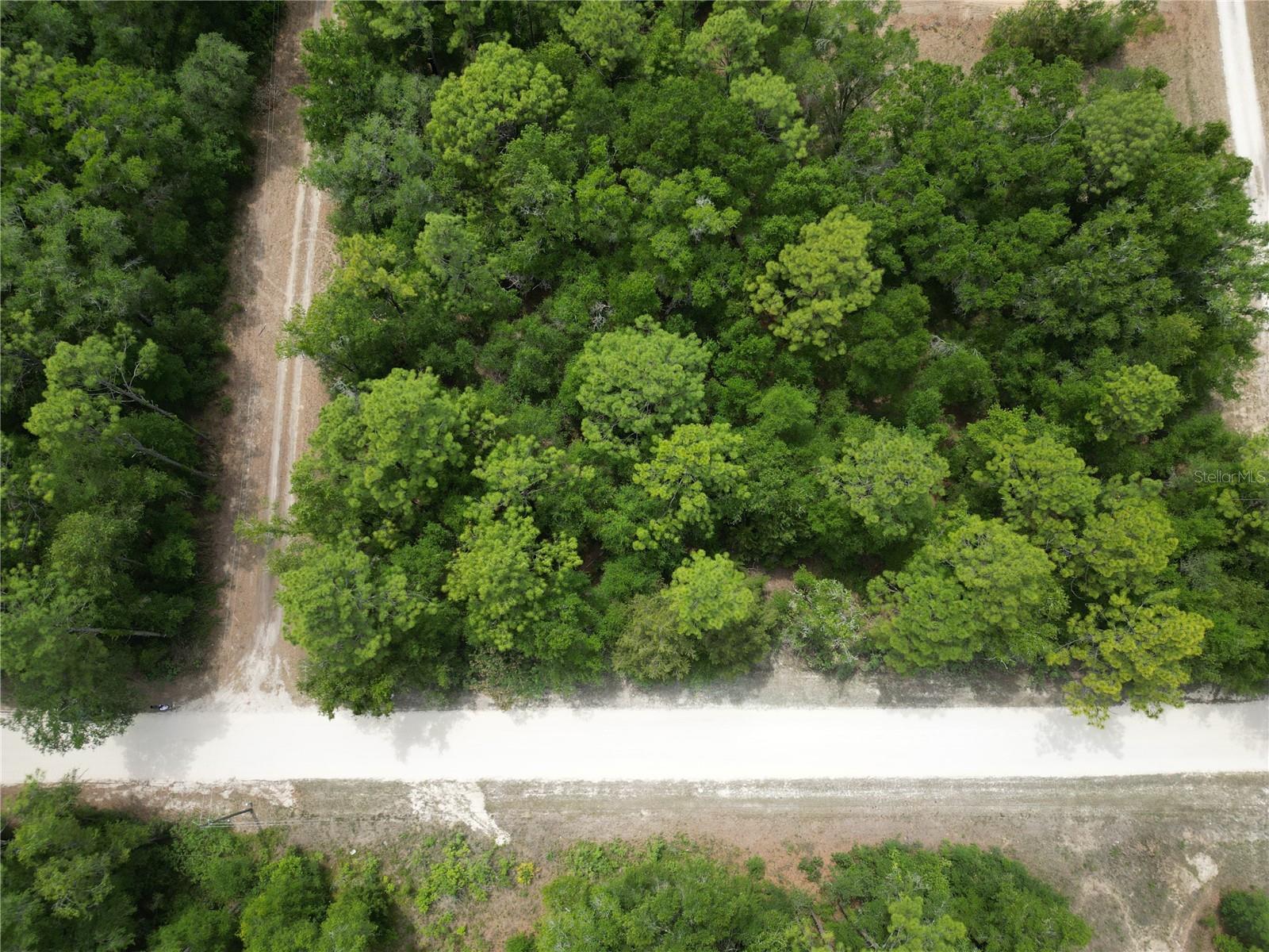 TBD SW 31ST PL, OCALA, FL, 34481