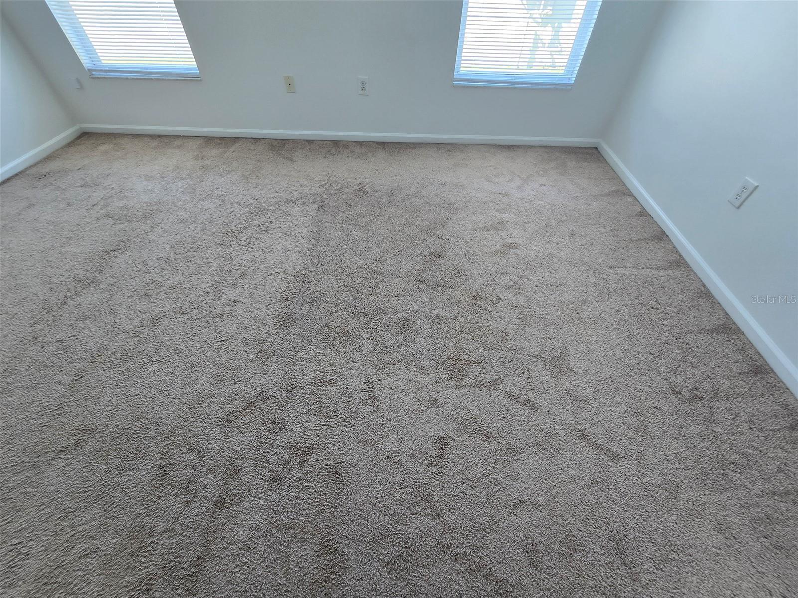 1003 SUMMER BREEZE DR, BRANDON, FL, 33511