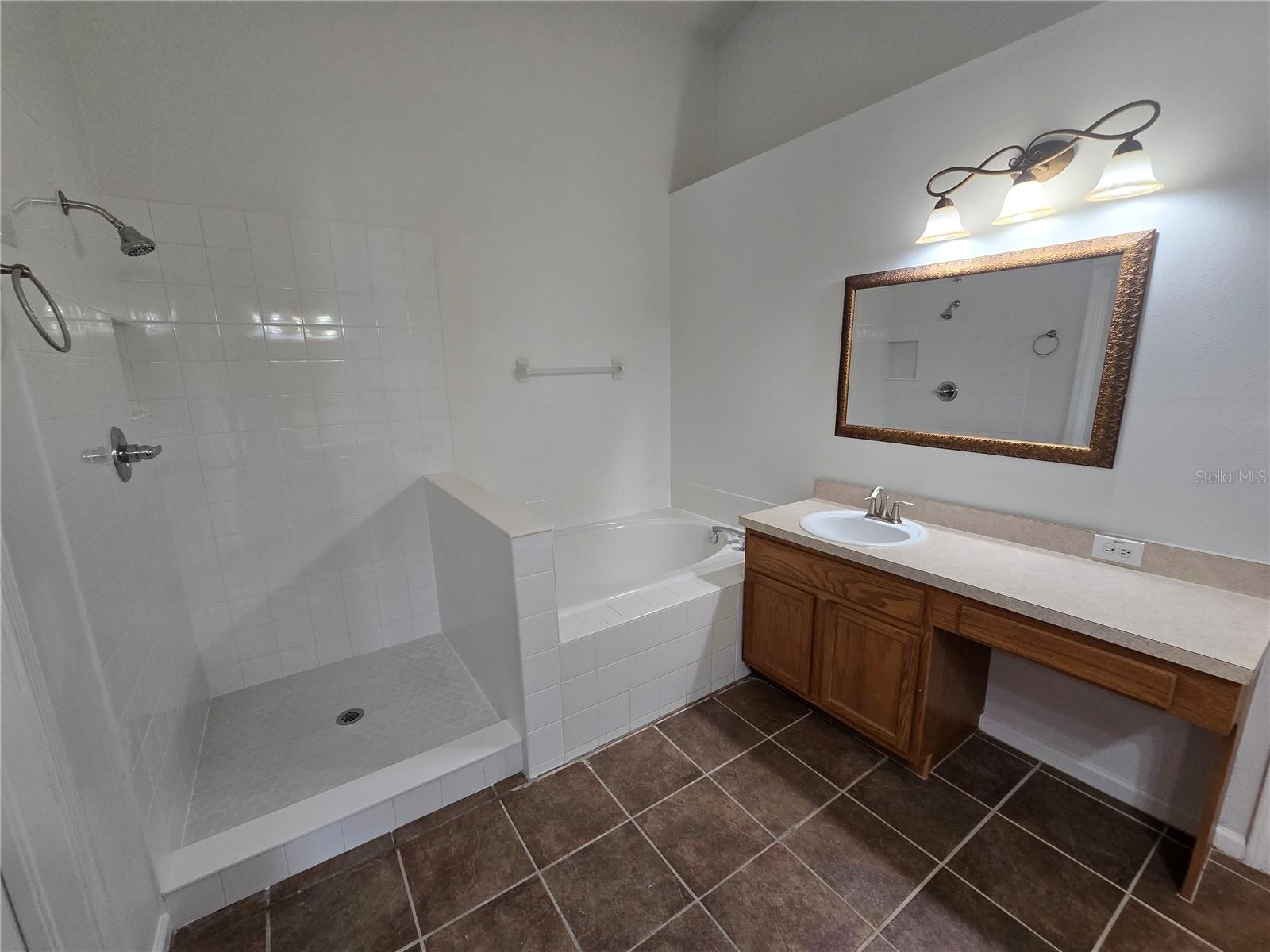 1003 SUMMER BREEZE DR, BRANDON, FL, 33511