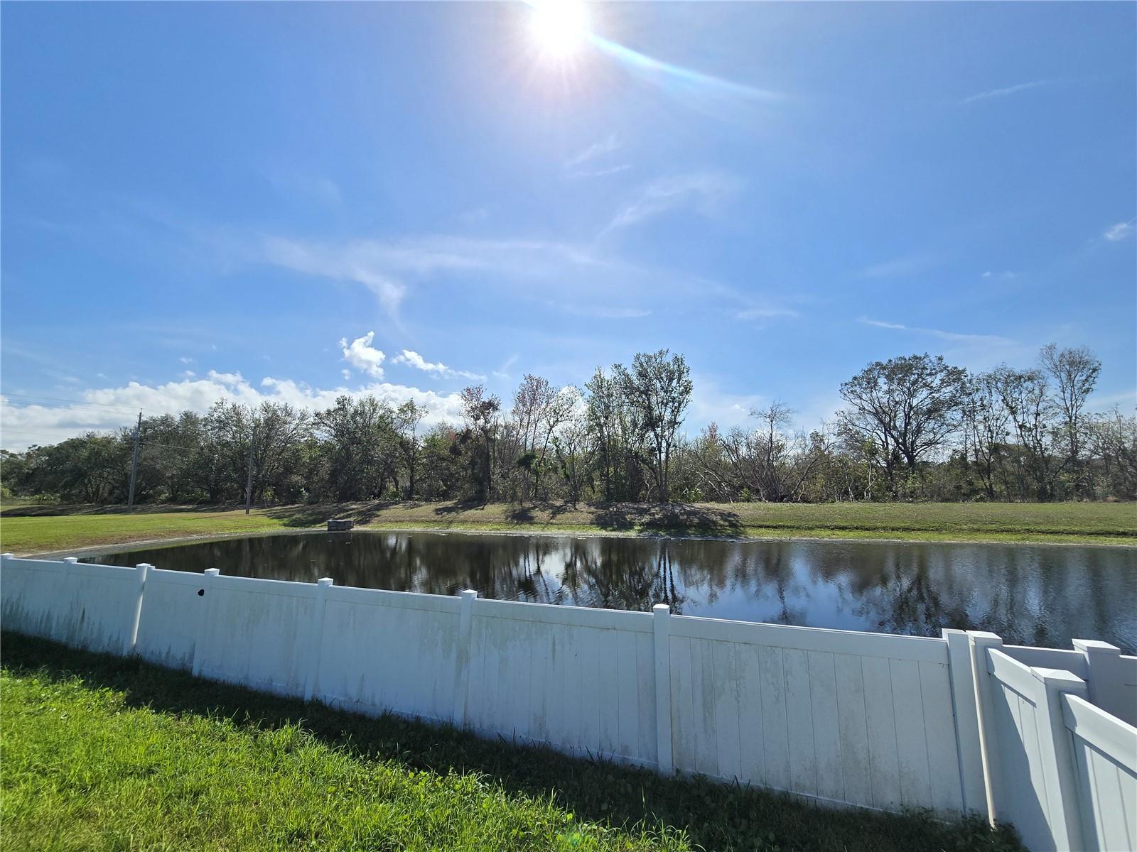 1003 SUMMER BREEZE DR, BRANDON, FL, 33511