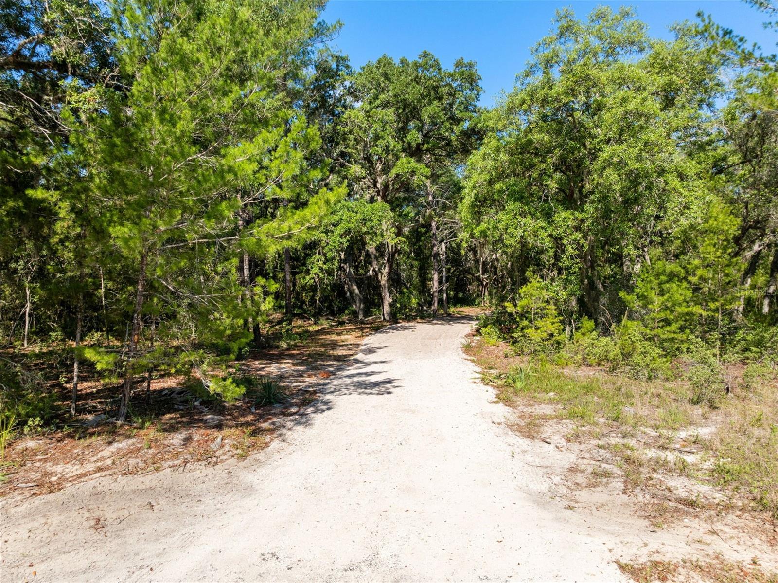 MOR TAY TRL, KISSIMMEE, FL, 34747